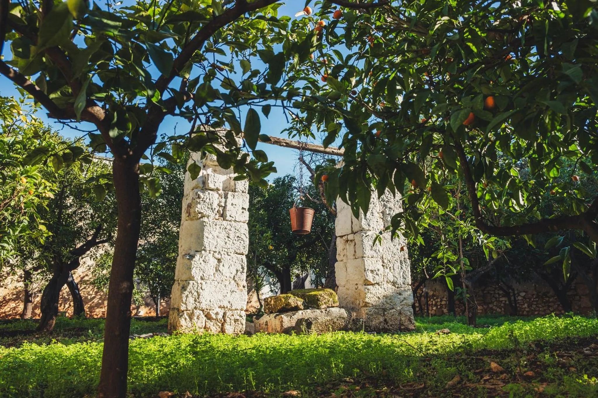 Garden in Masseria Santa Teresa