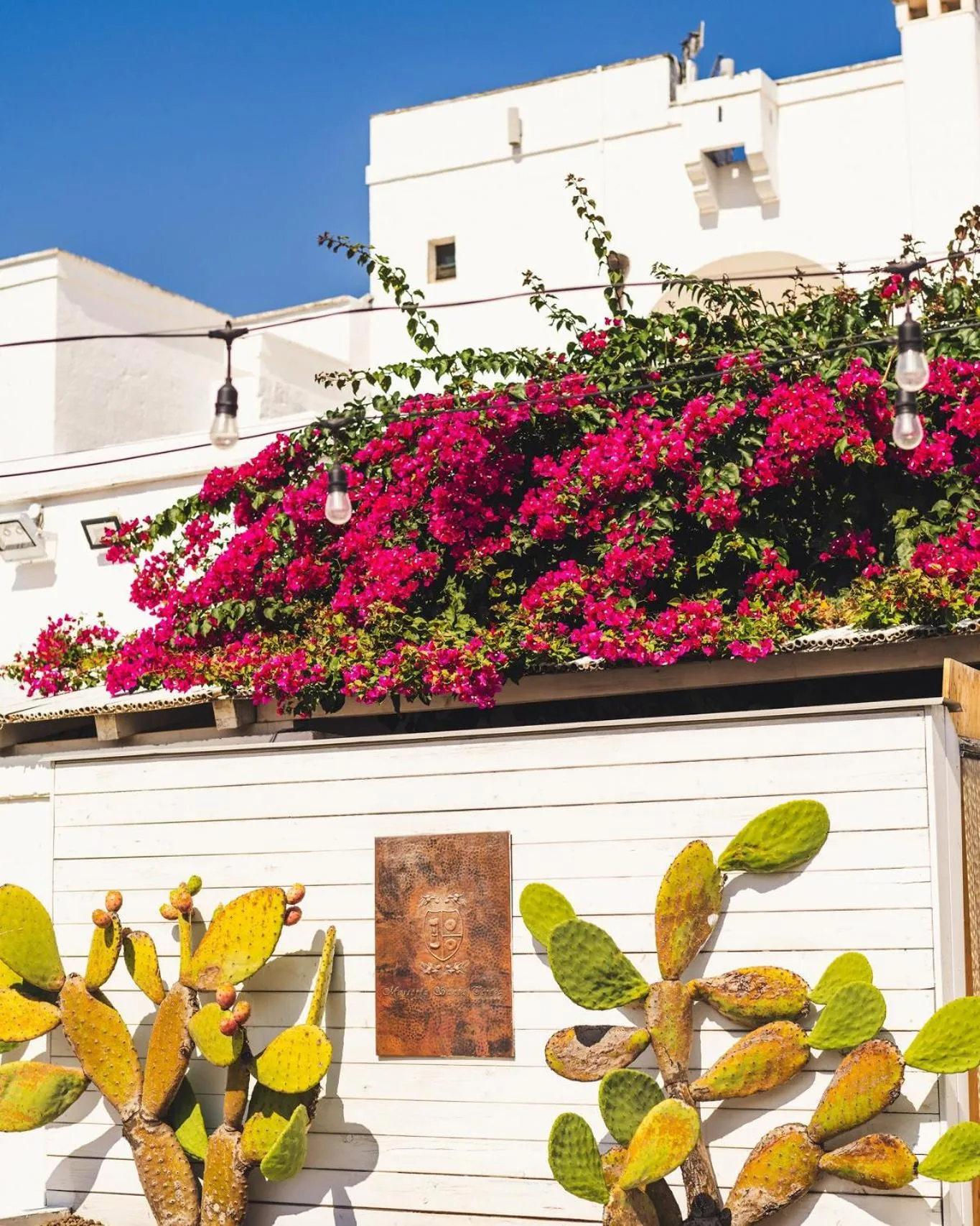 Property building in Masseria Santa Teresa