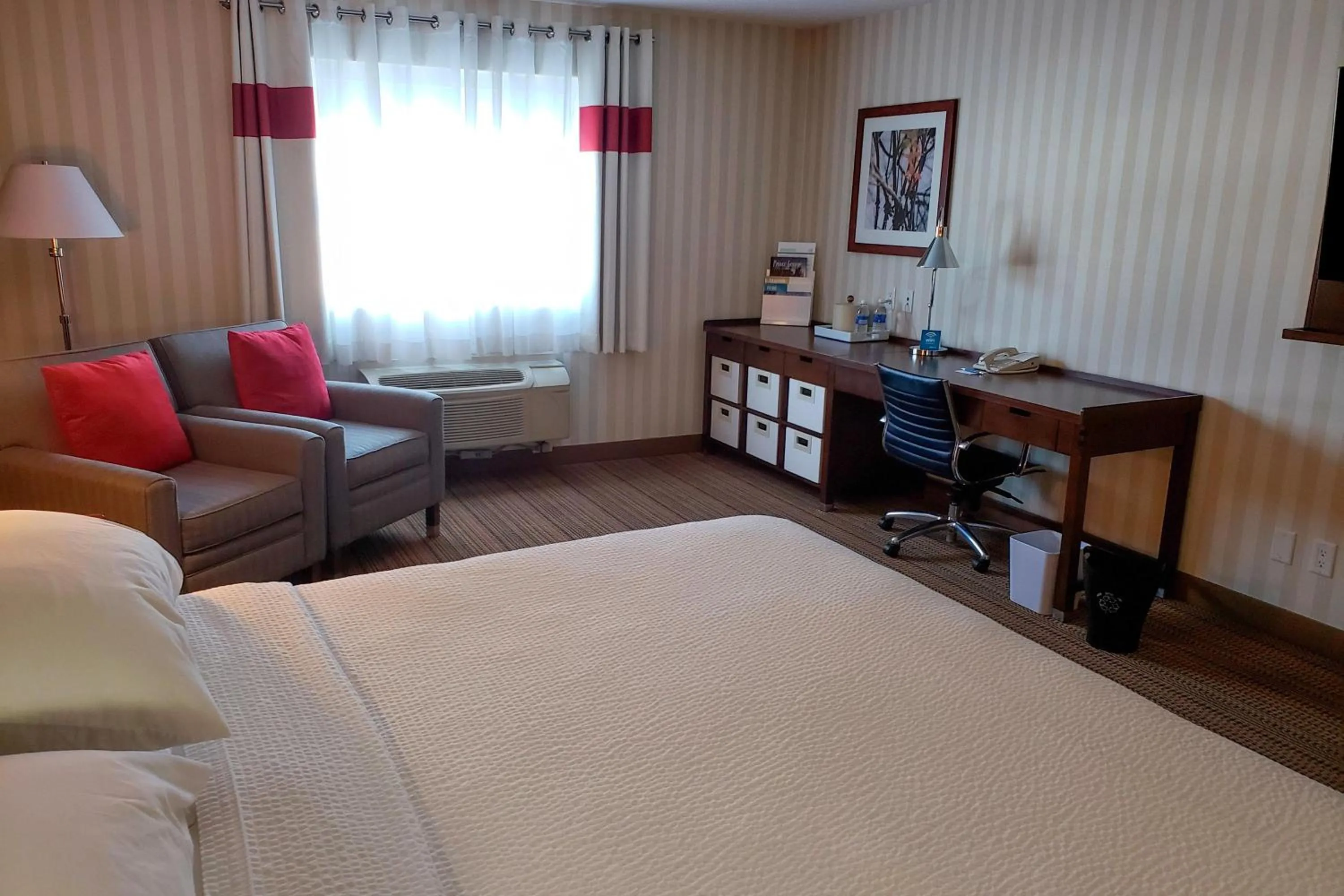 Photo of the whole room, Bed in Four Points by Sheraton Prince George