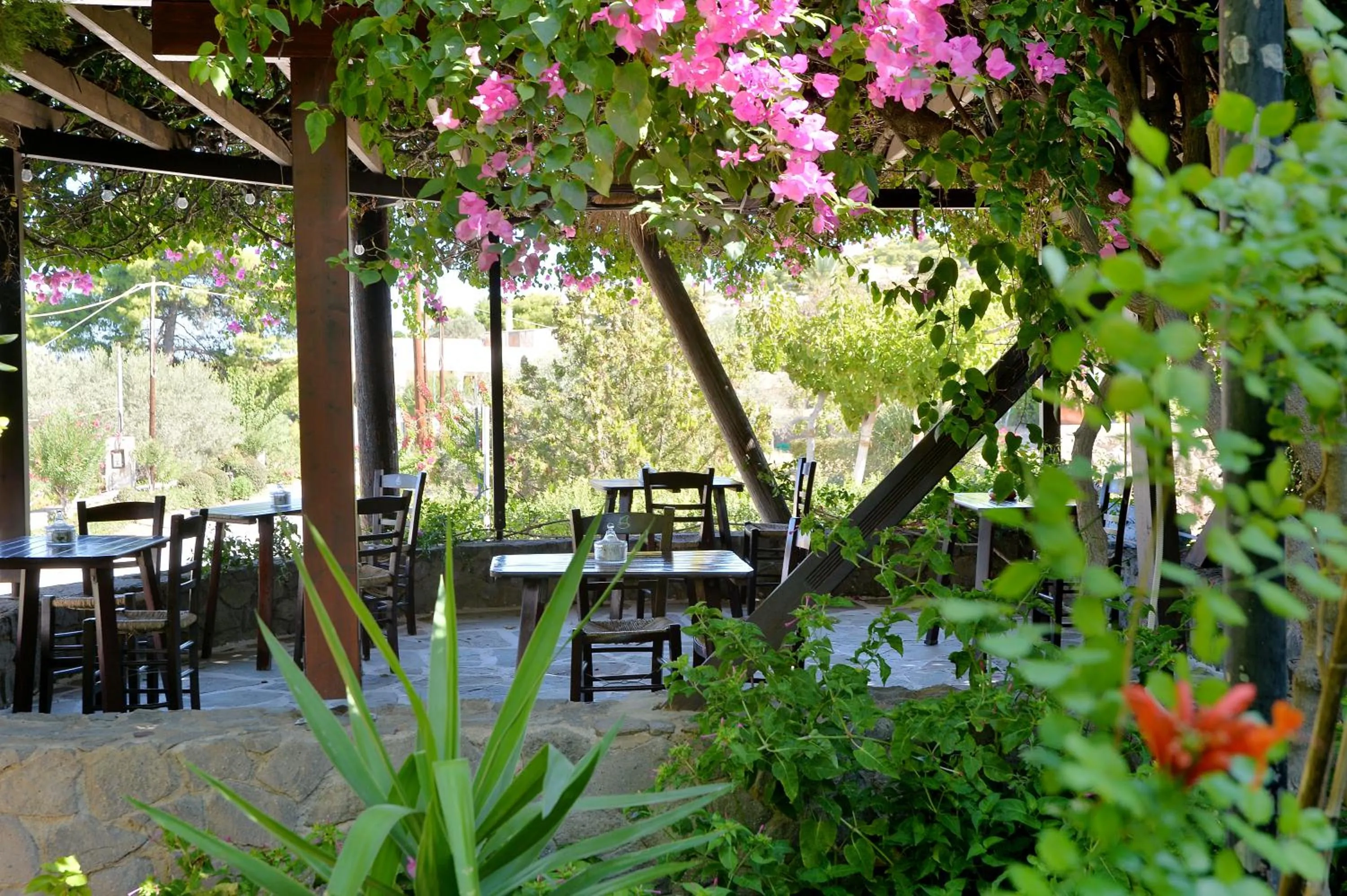 Vagia Beach Apartments, Aegina Island