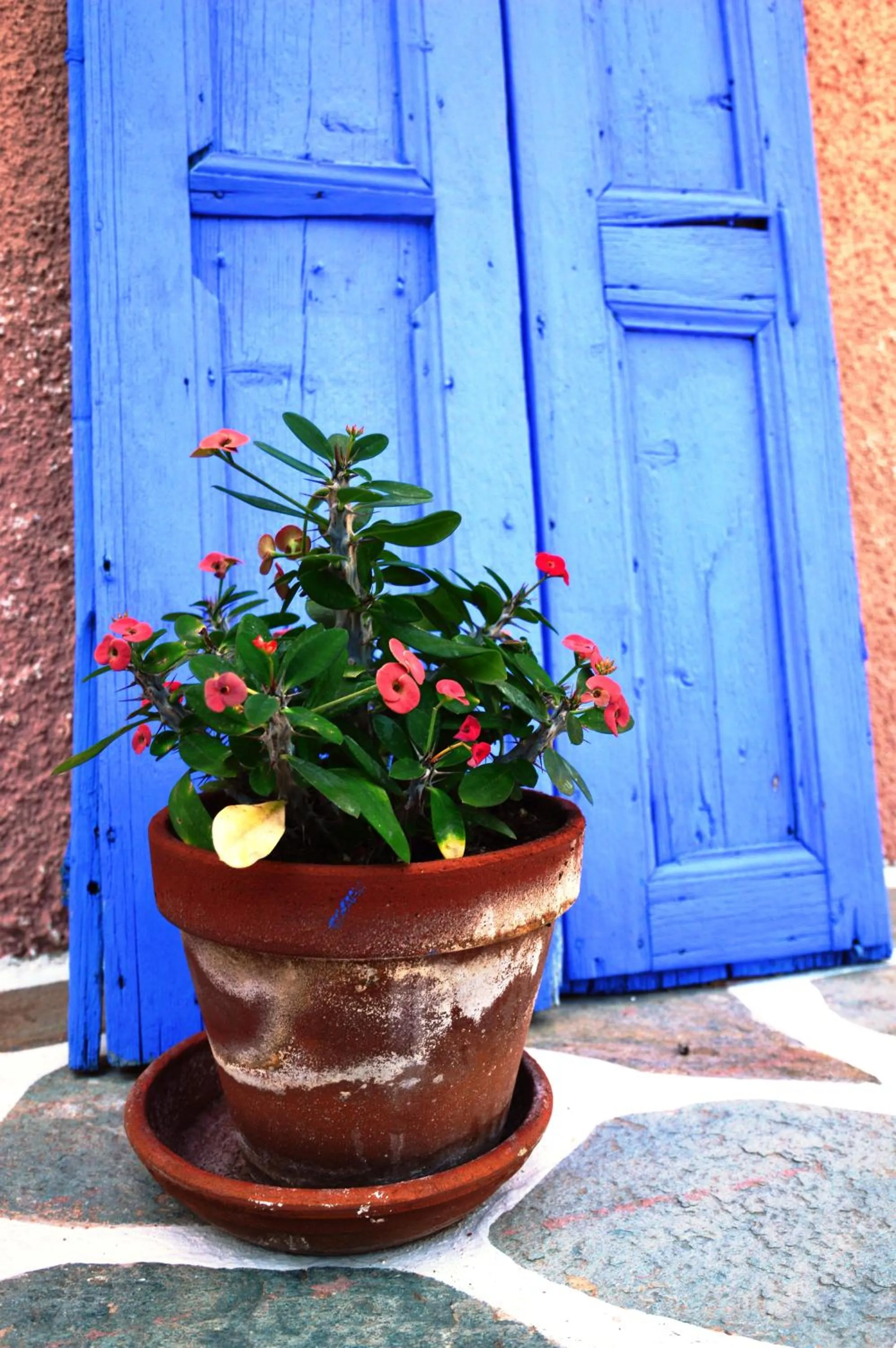 Vagia Beach Apartments, Aegina Island