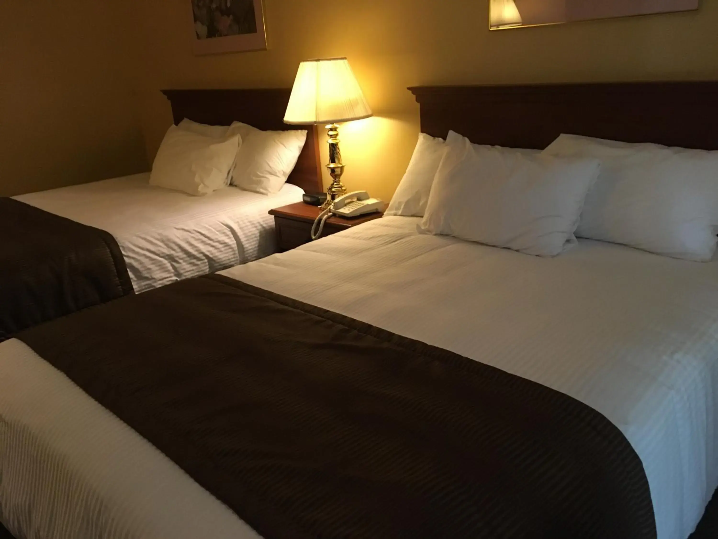 Queen Room with Two Queen Beds in Motel Cofotel Queen Room with Two Queen Beds in Motel Cofotel