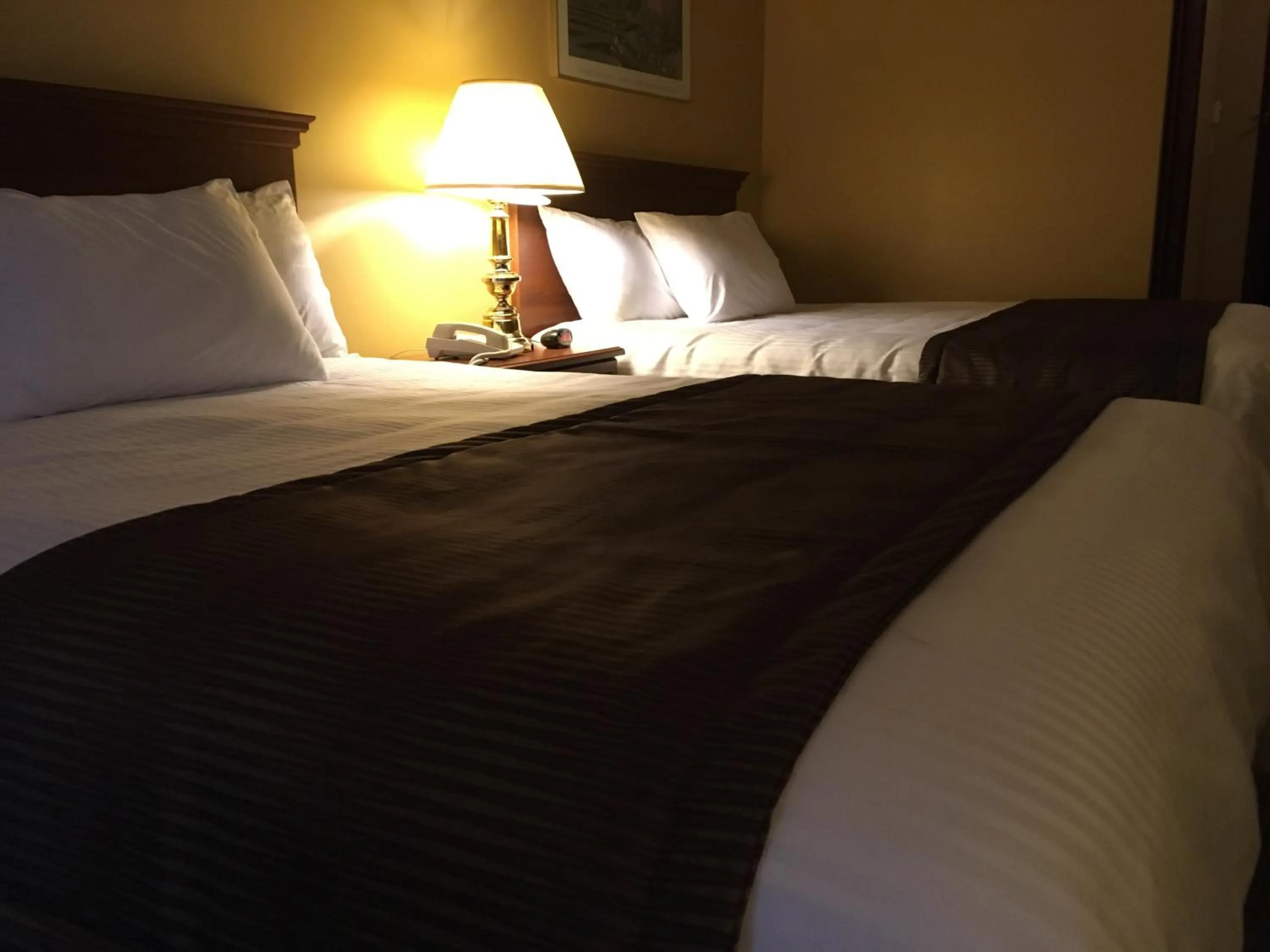 Bedroom, Bed in Motel Cofotel