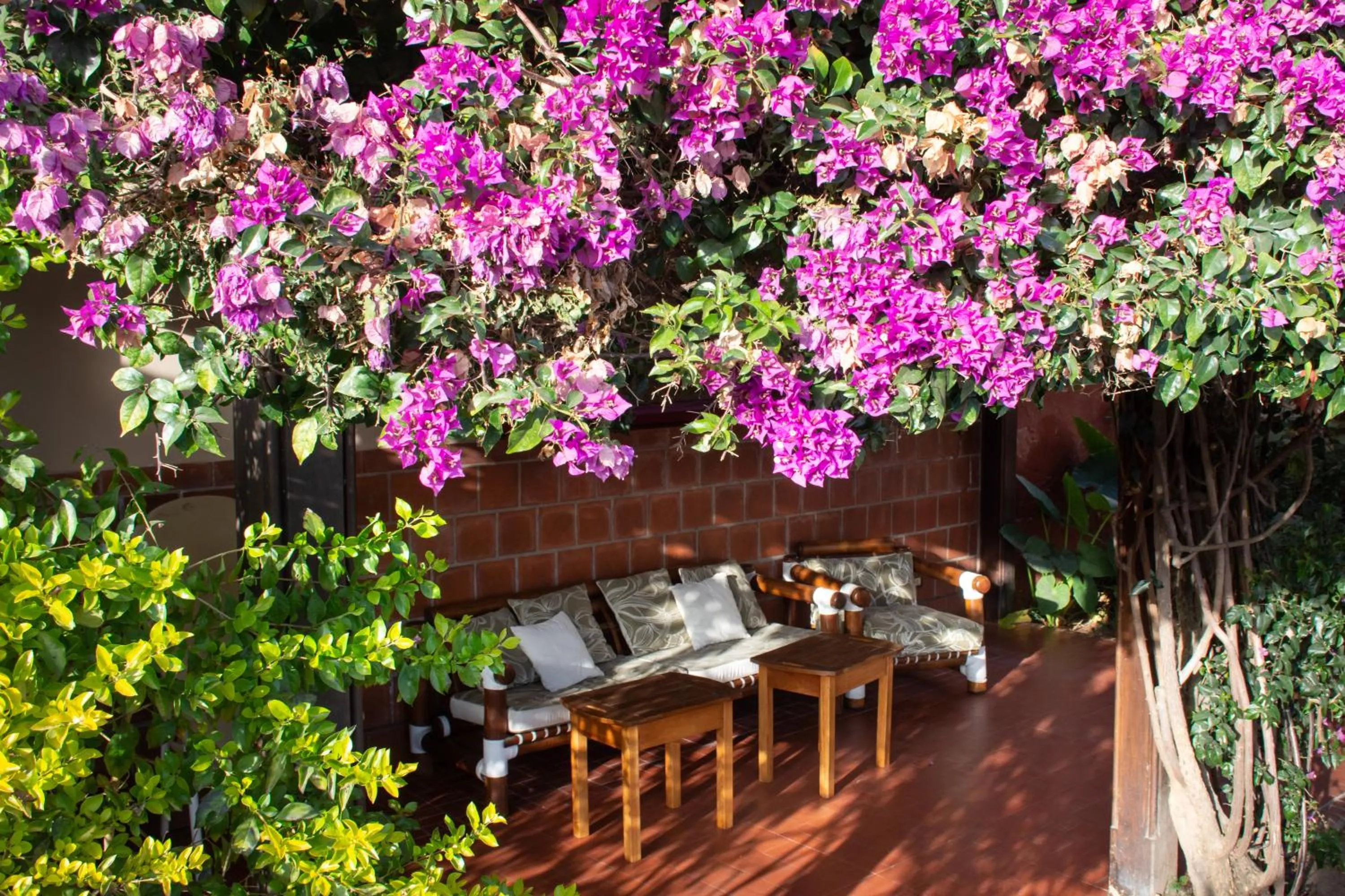 Patio in Hotel Boutique La Candela