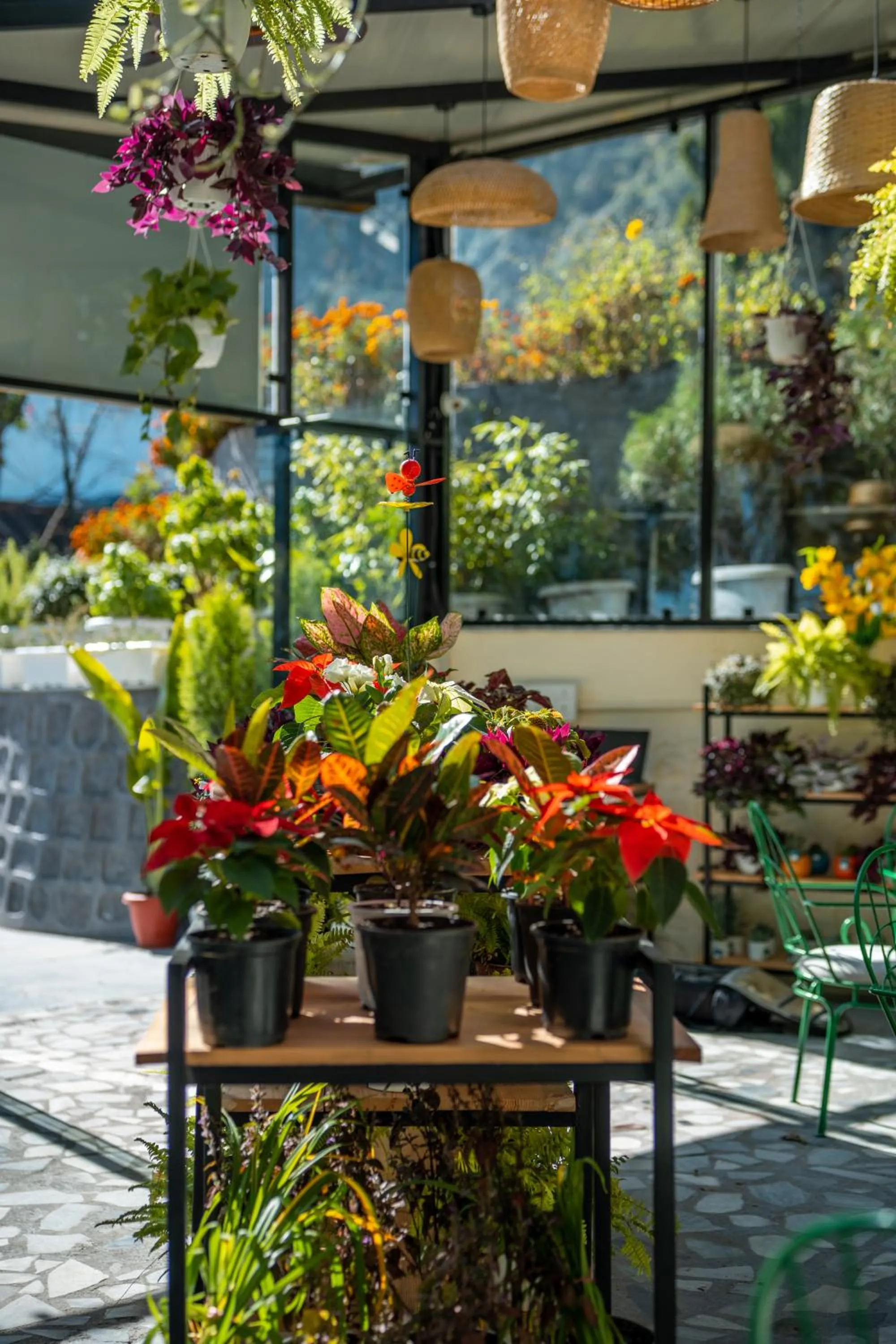 Restaurant/places to eat in Shervani Hilltop Resort