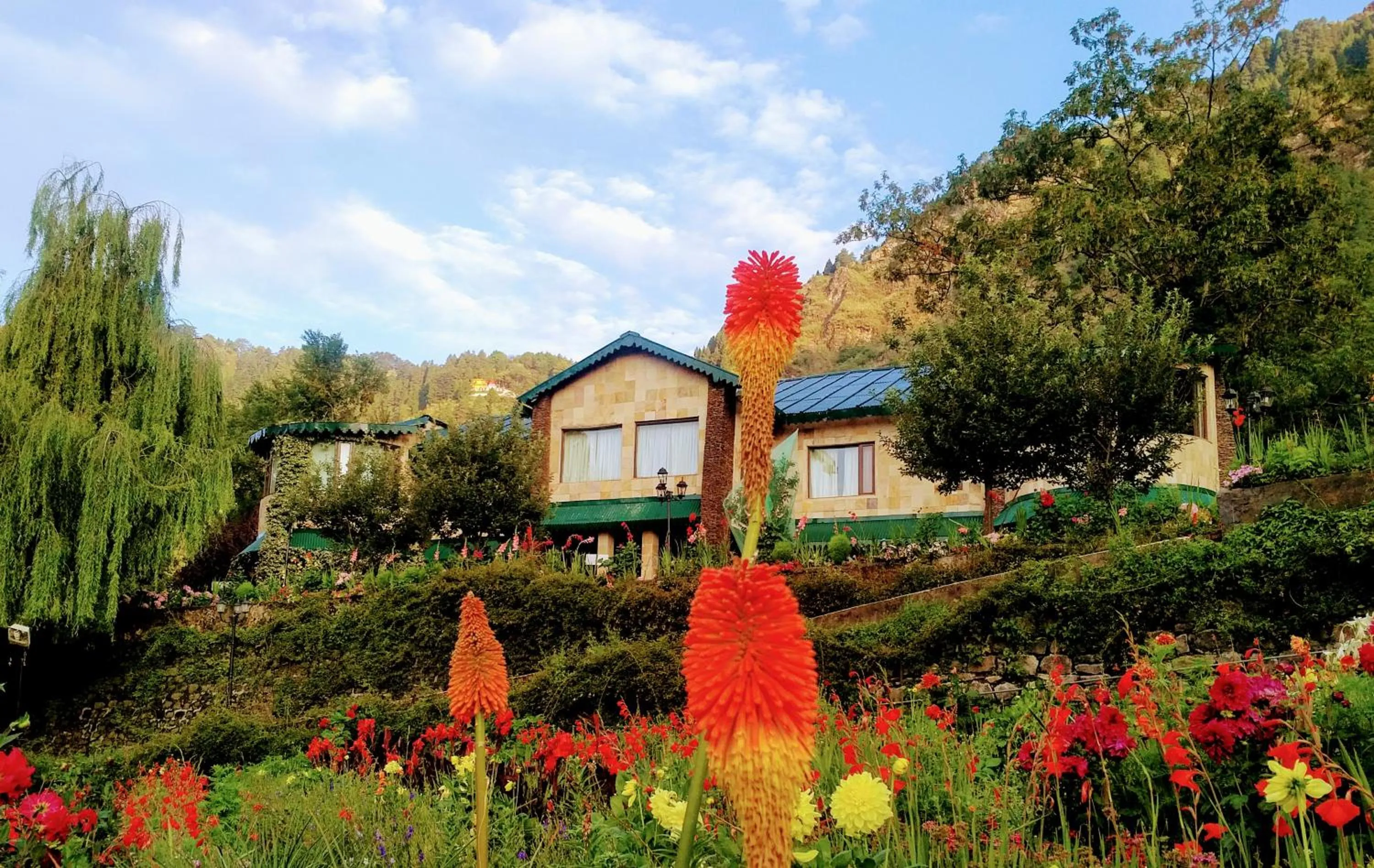 Garden view in Shervani Hilltop Resort