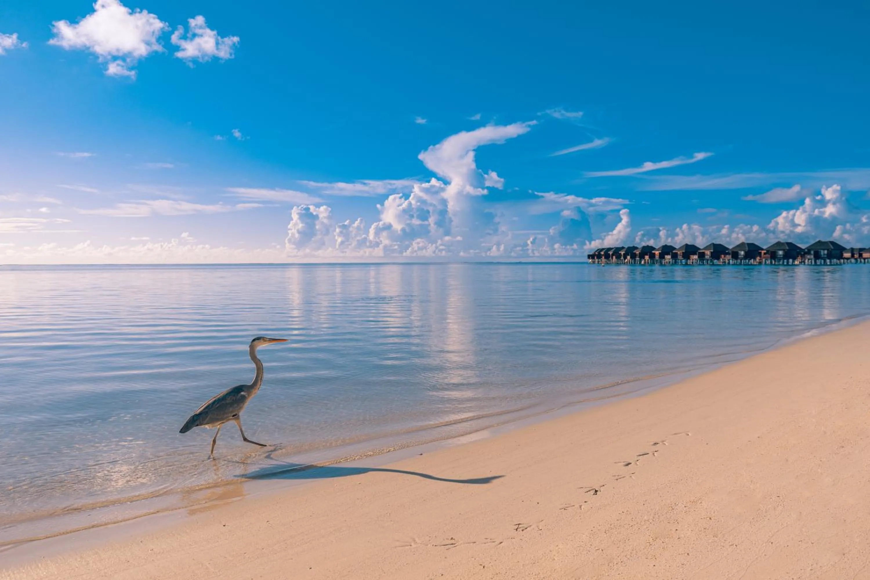 View (from property/room) in Sun Siyam Olhuveli