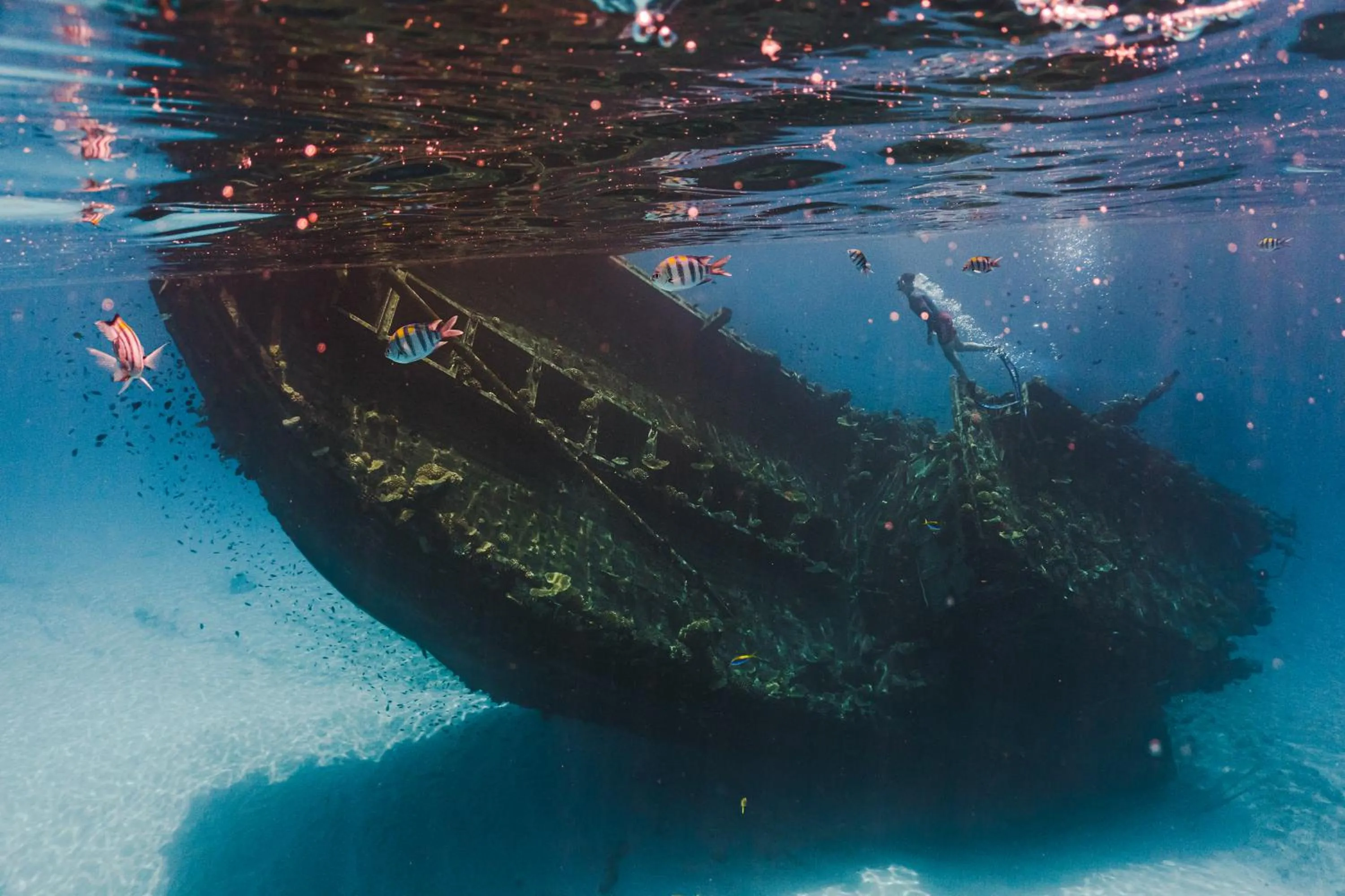 Snorkeling in Sun Siyam Olhuveli