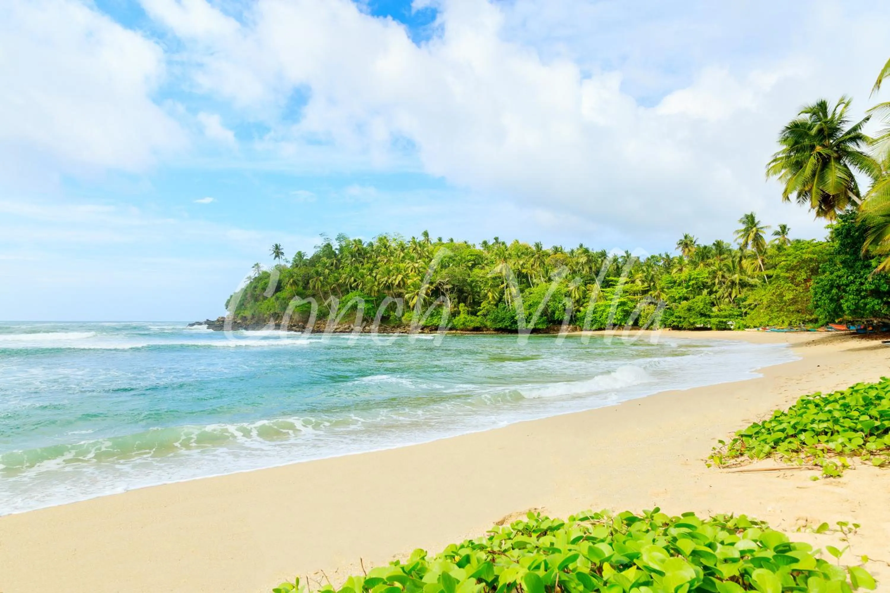 Grand Conch 4 BR Villa -3 Min walk to the beaches