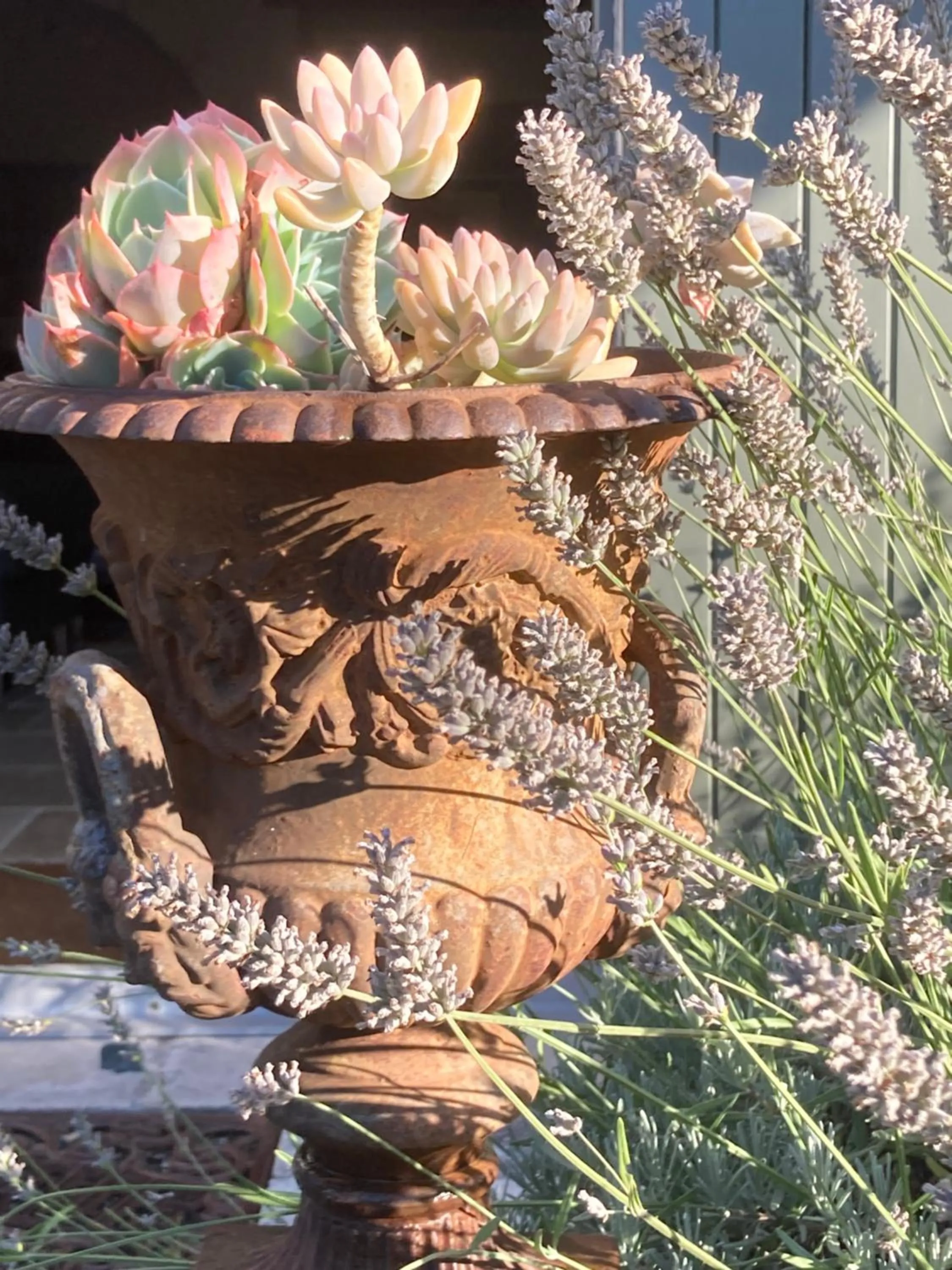 La Ferme Buissonnière