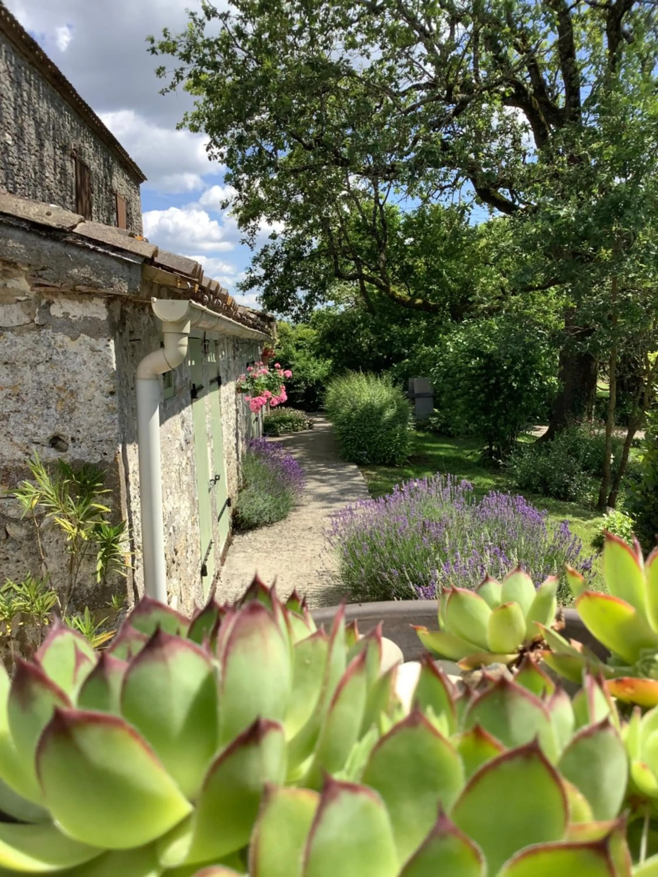 Garden view in La Ferme Buissonnière