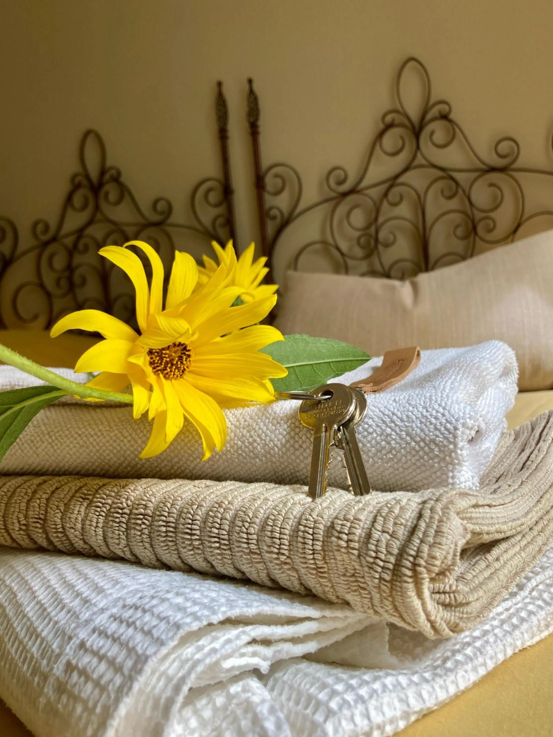 Bed in La Ferme Buissonnière