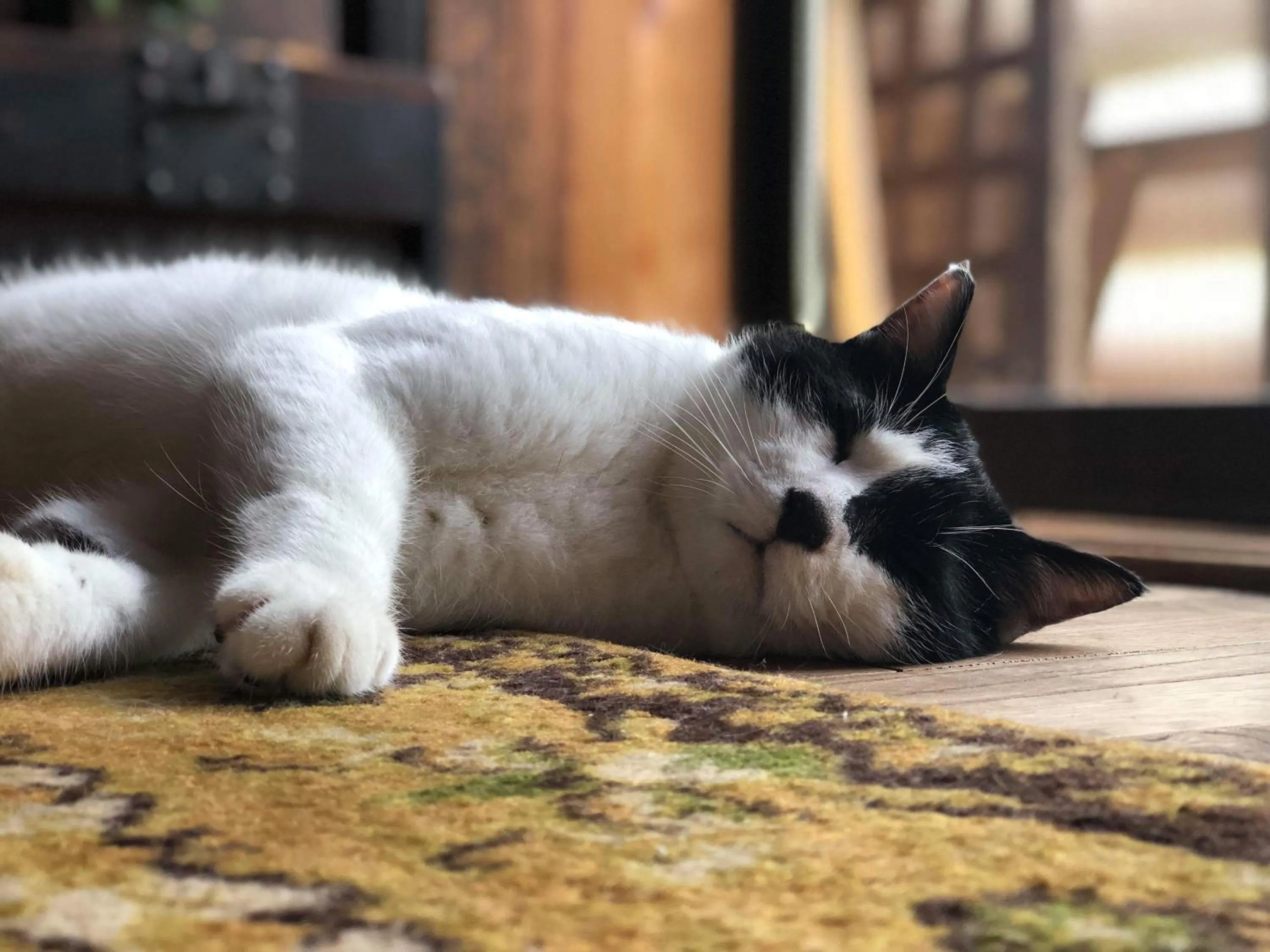 Noka Minshuku Sanzen