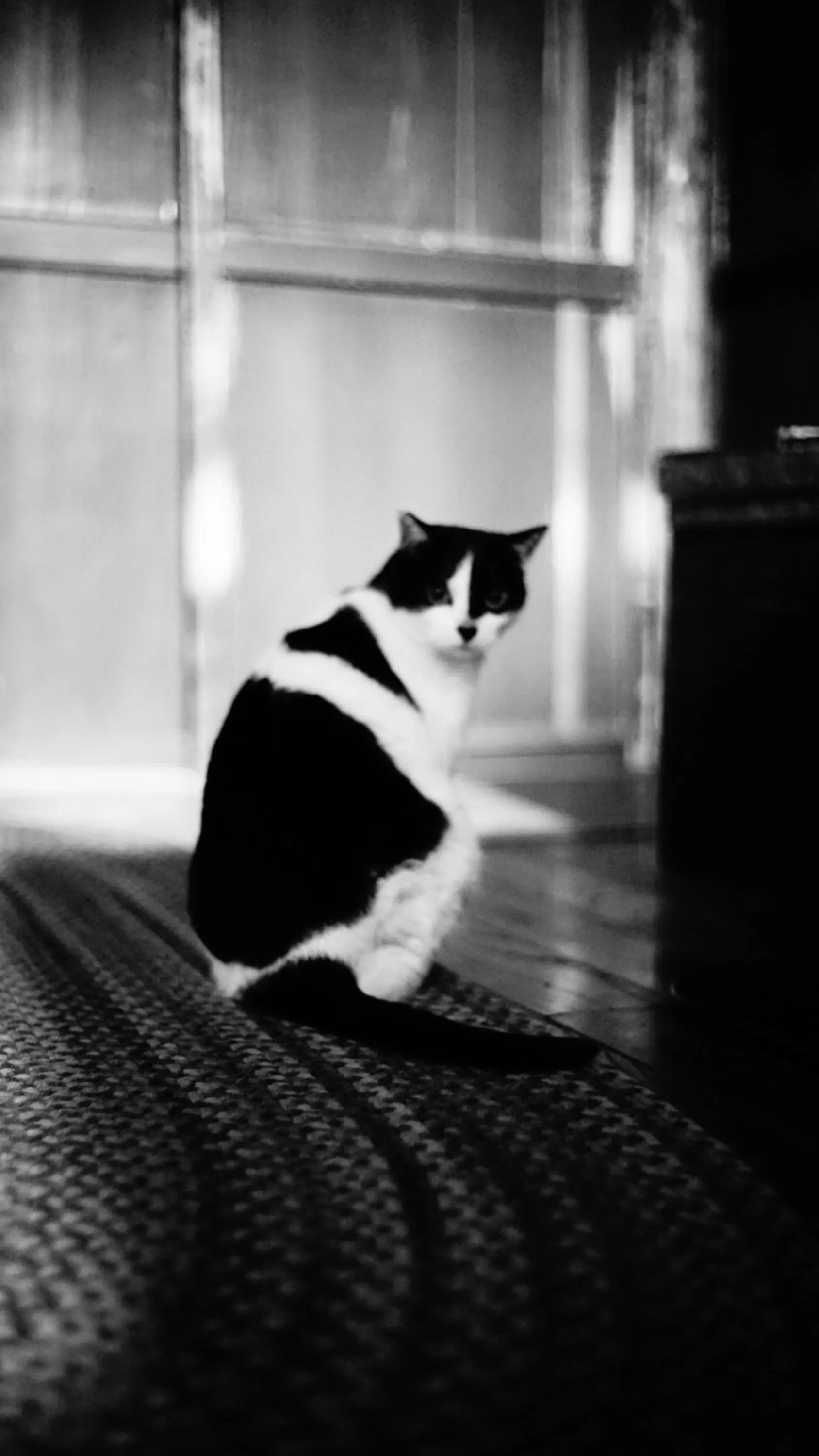 Noka Minshuku Sanzen