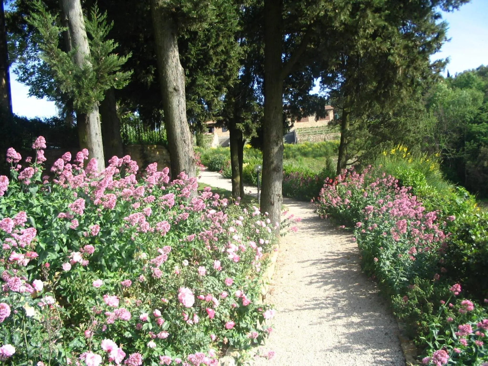 Day in Podere La Casetta - Casa di Campagna