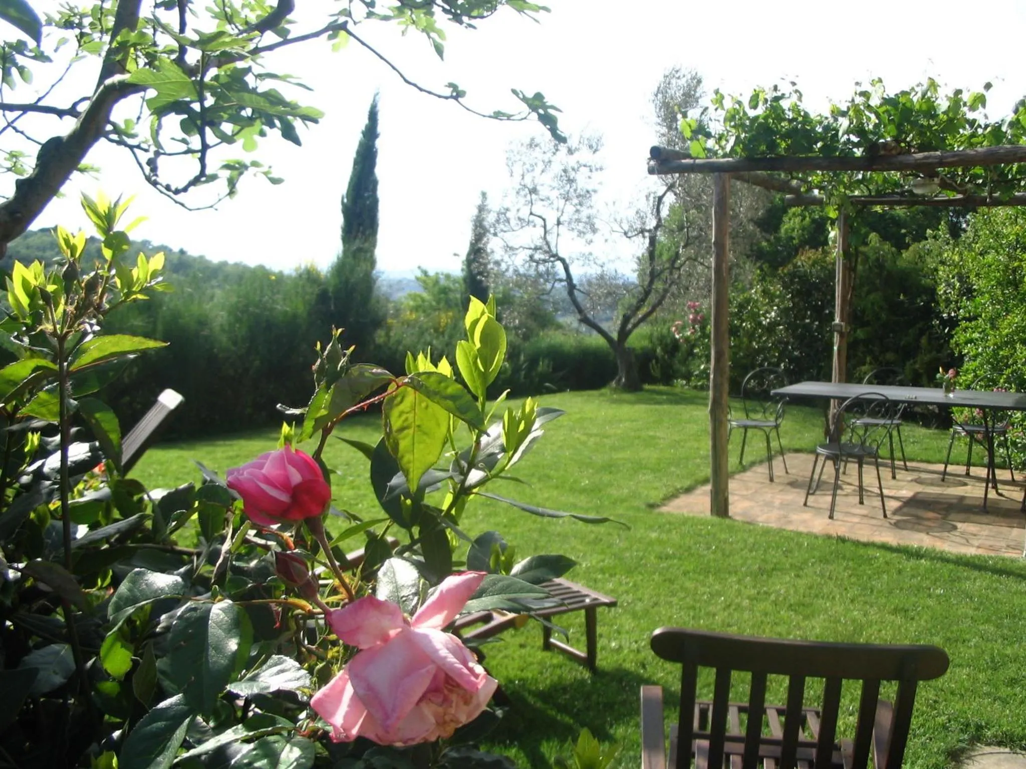 Garden in Podere La Casetta - Casa di Campagna