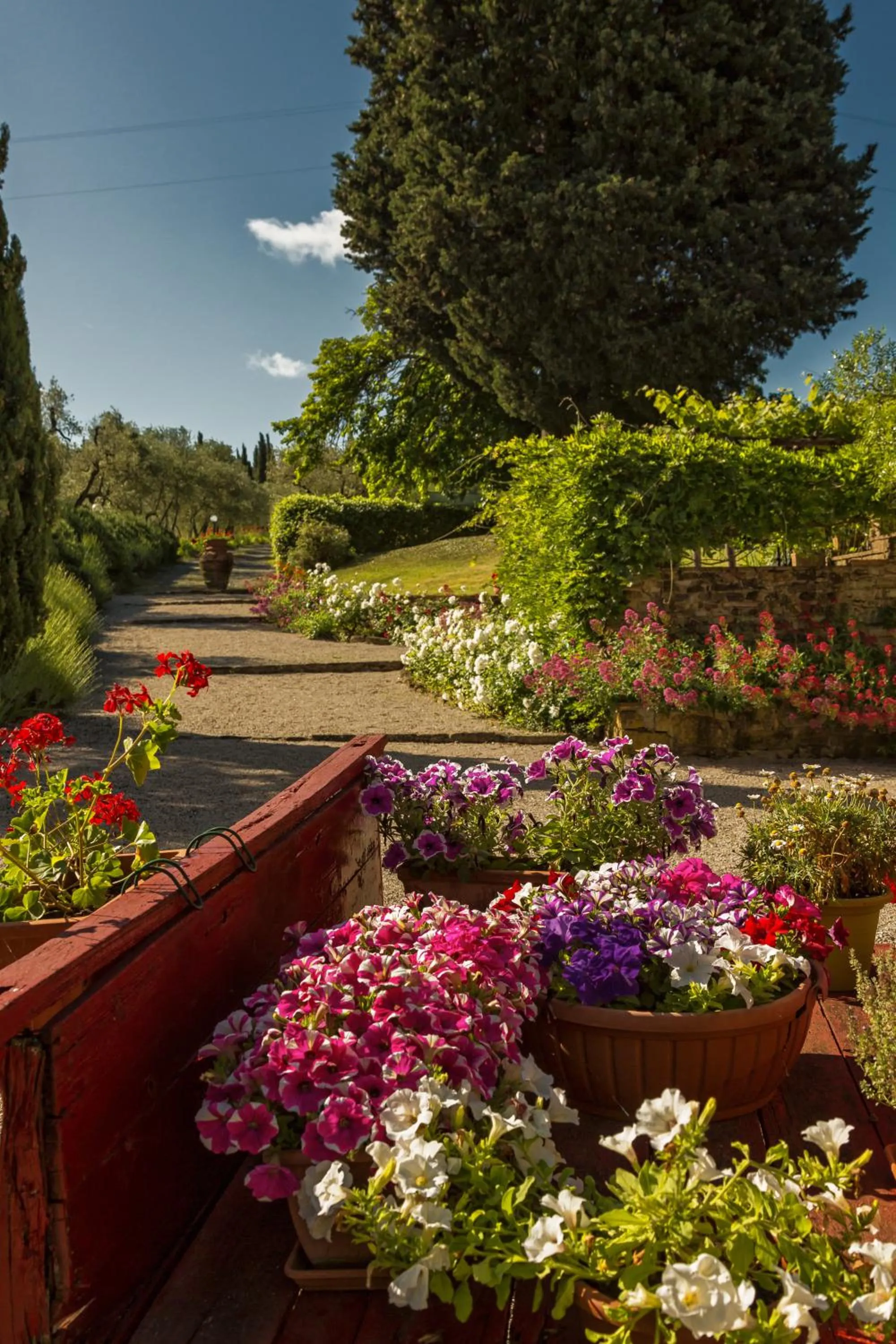 Podere La Casetta - Casa di Campagna