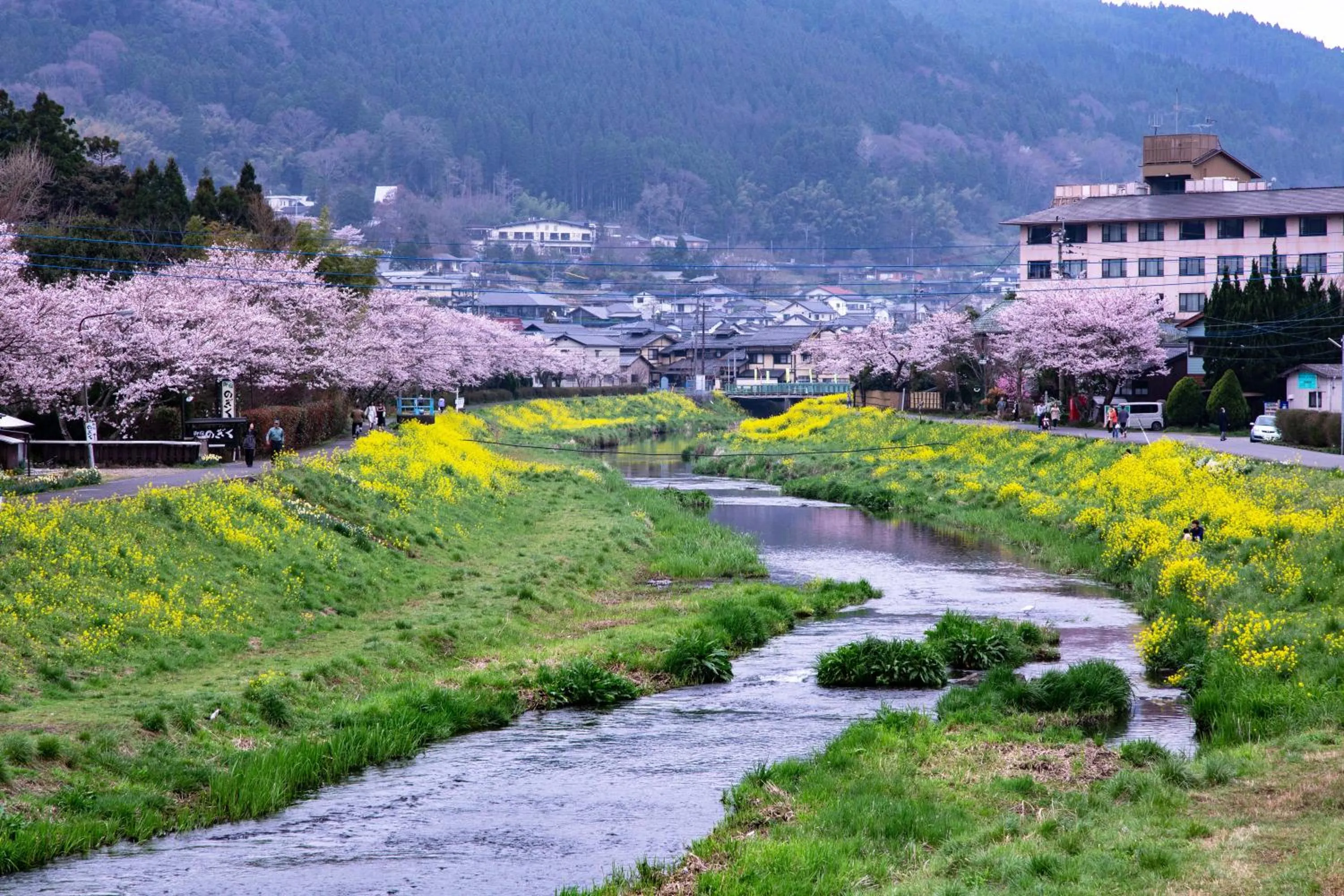 Natural landscape in Yufuin Lamp no Yado