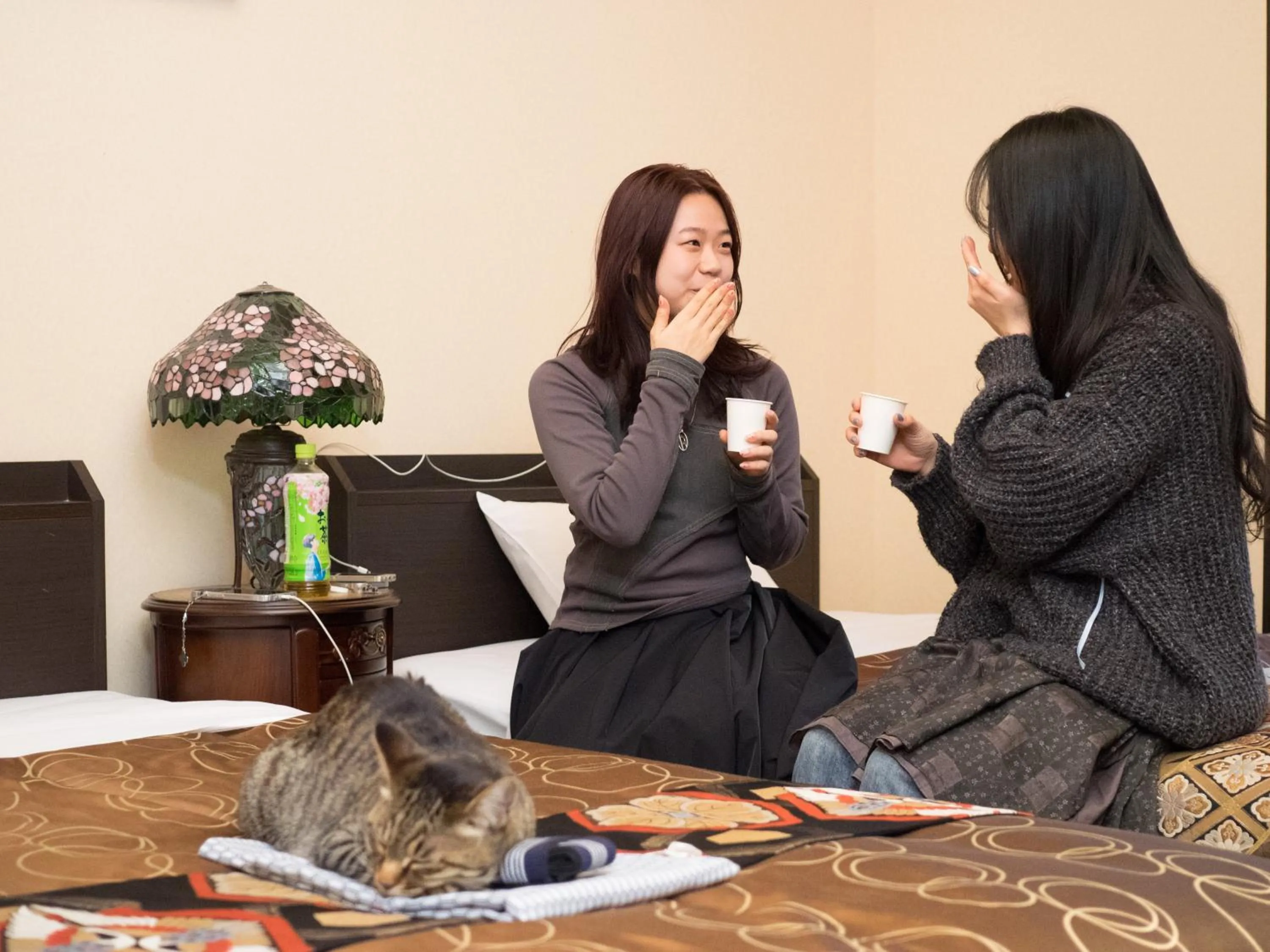 Photo of the whole room in Yufuin Lamp no Yado