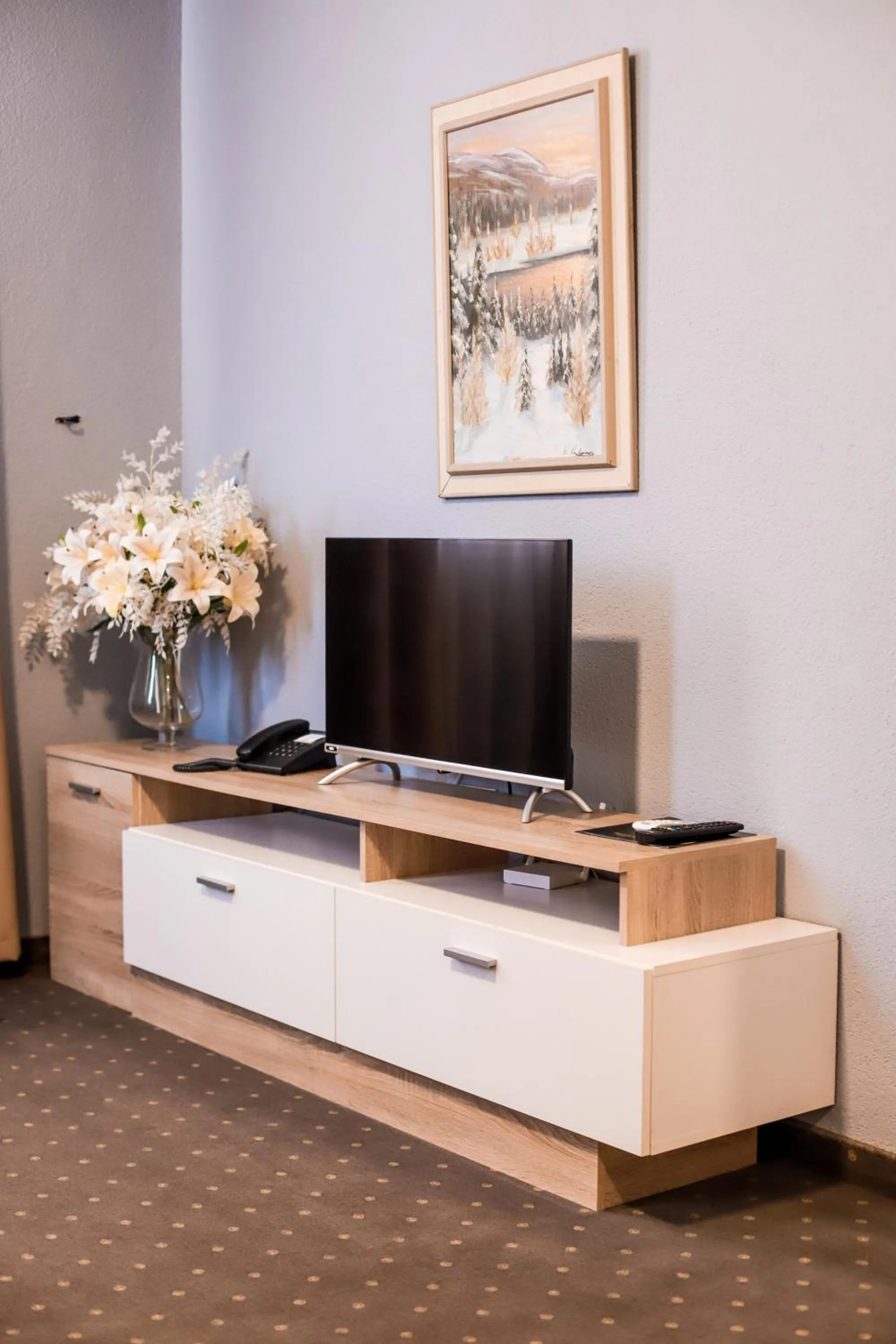 TV and multimedia in Wellness&Spa Hotel Astorya