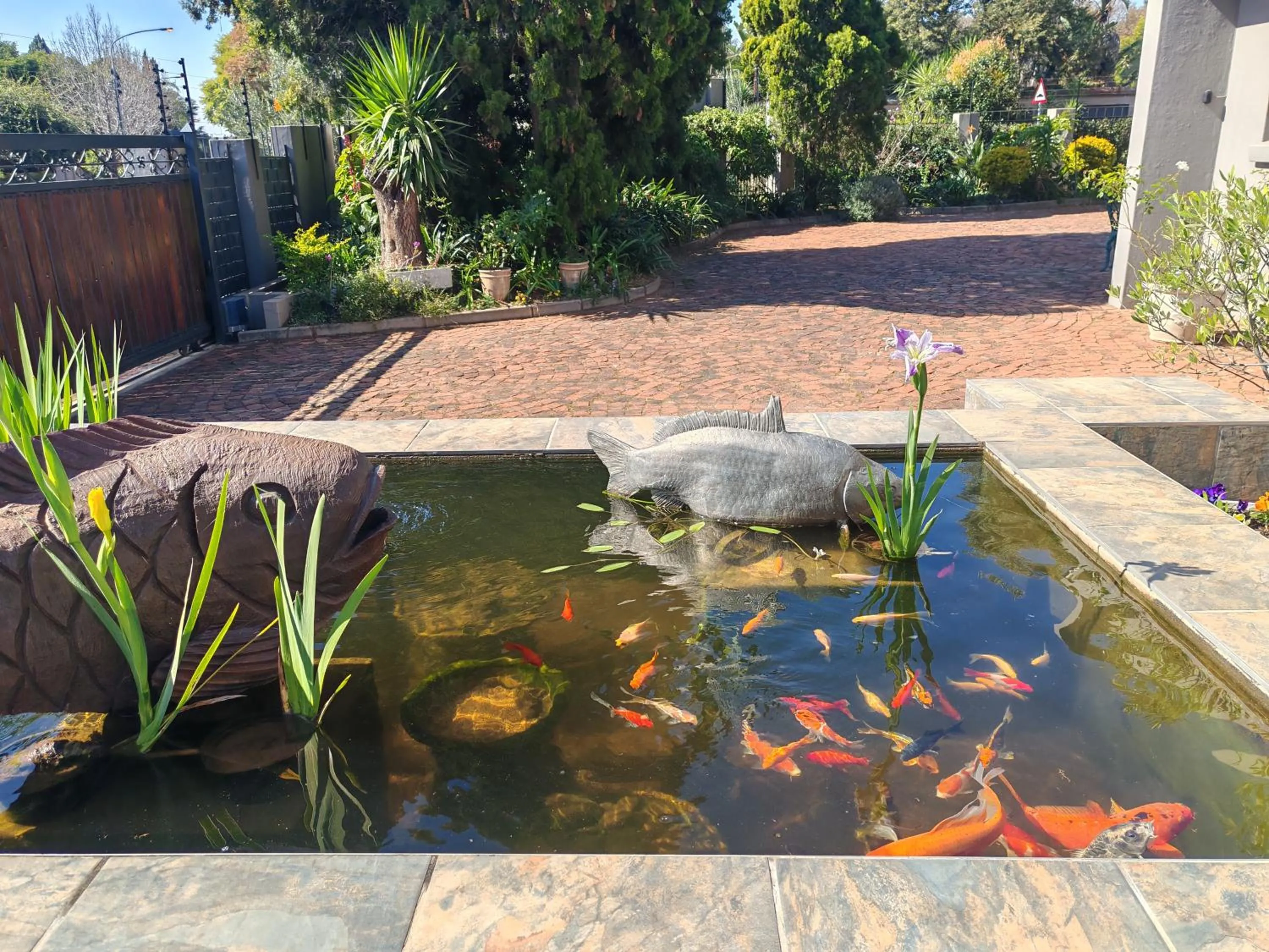 Day in Three Olives Guesthouse