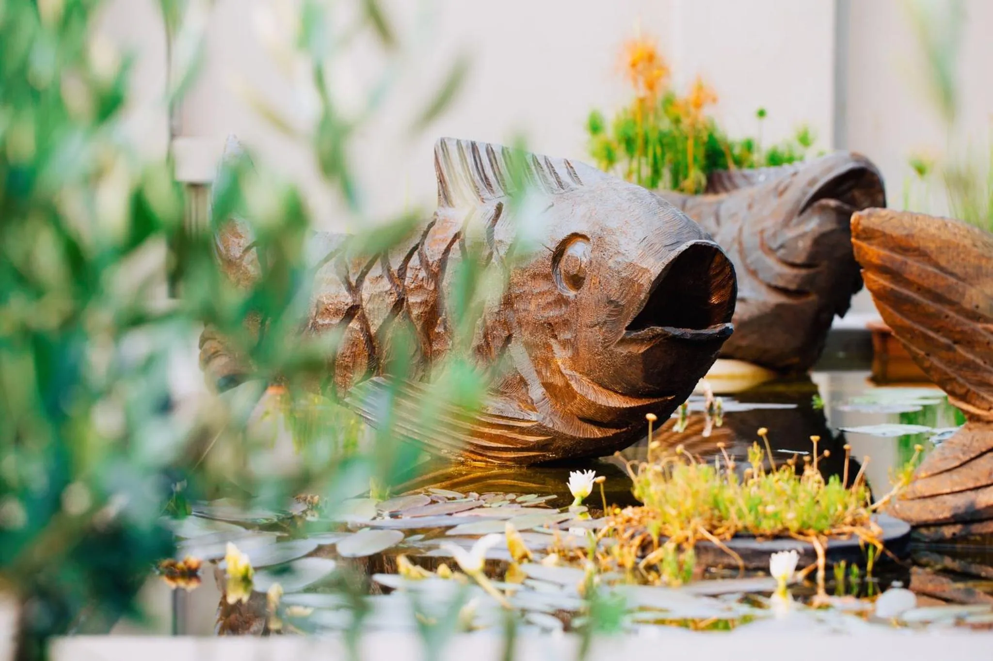 Garden in Three Olives Guesthouse