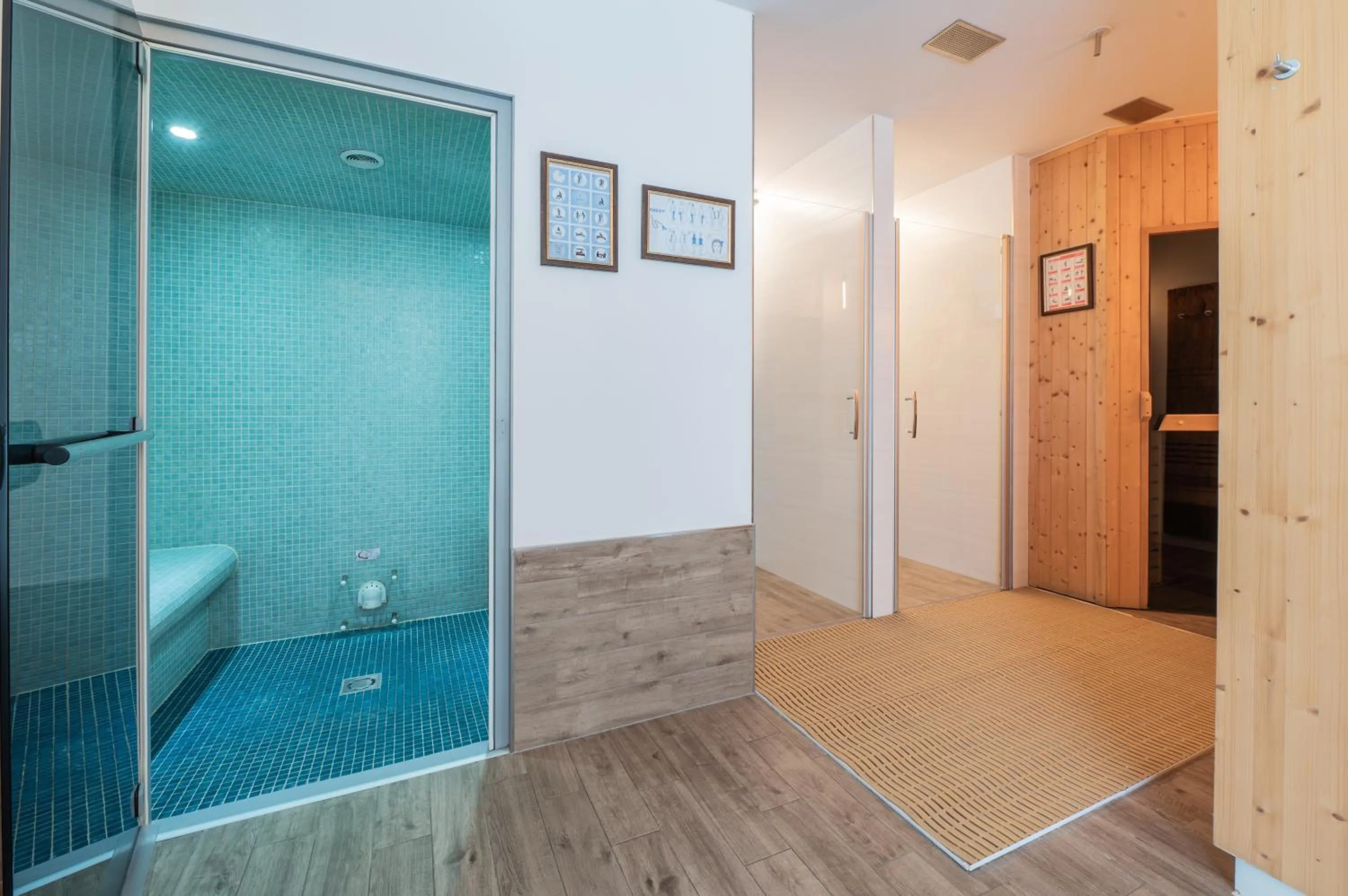 Sauna in PLAN DE CORONES apartments