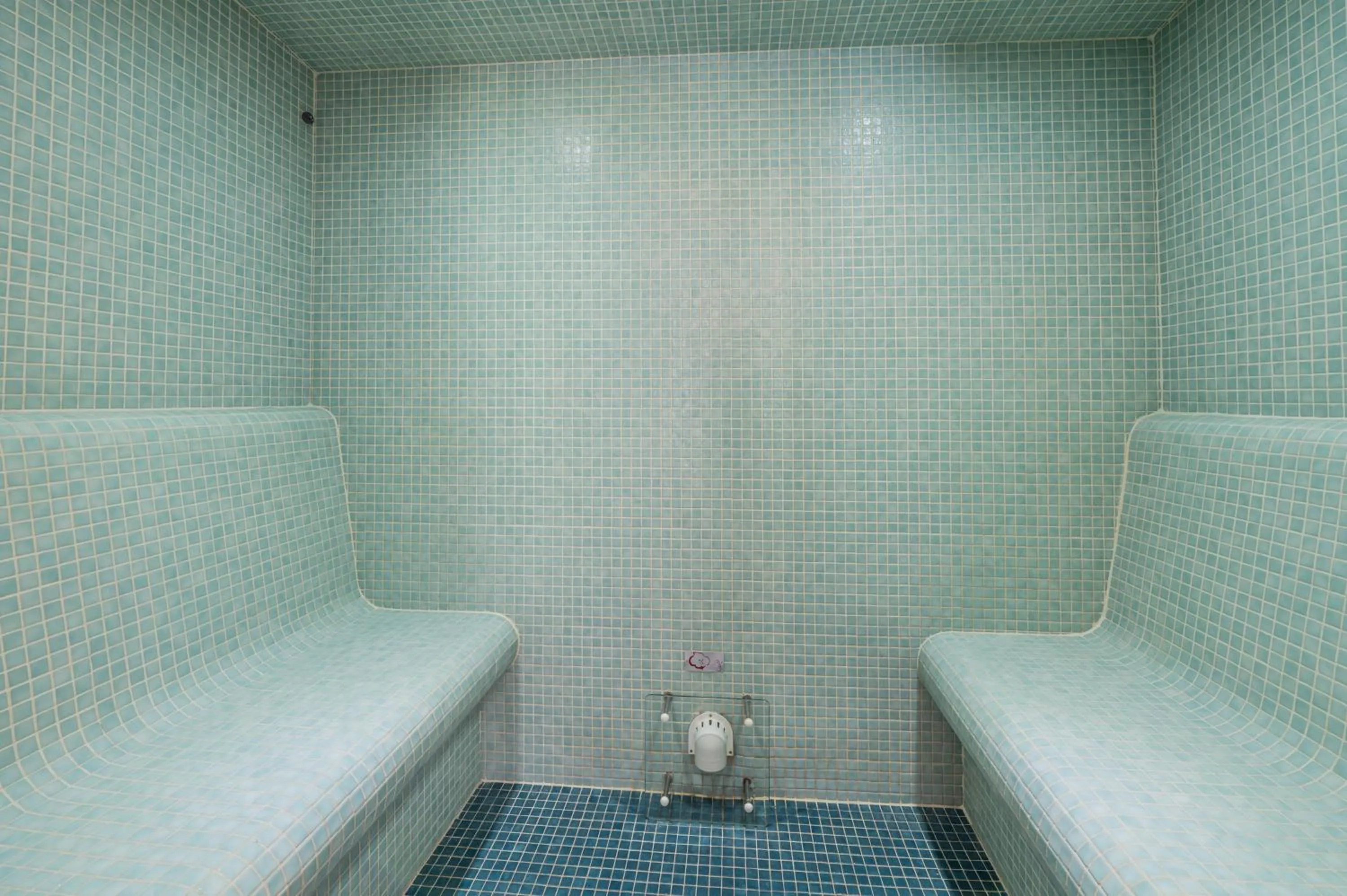 Sauna in PLAN DE CORONES apartments