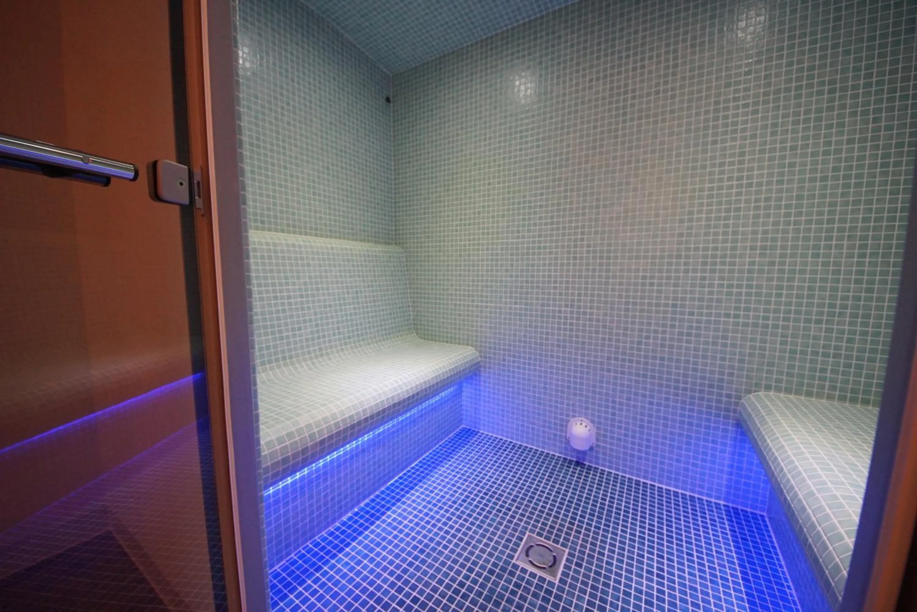 Sauna in PLAN DE CORONES apartments