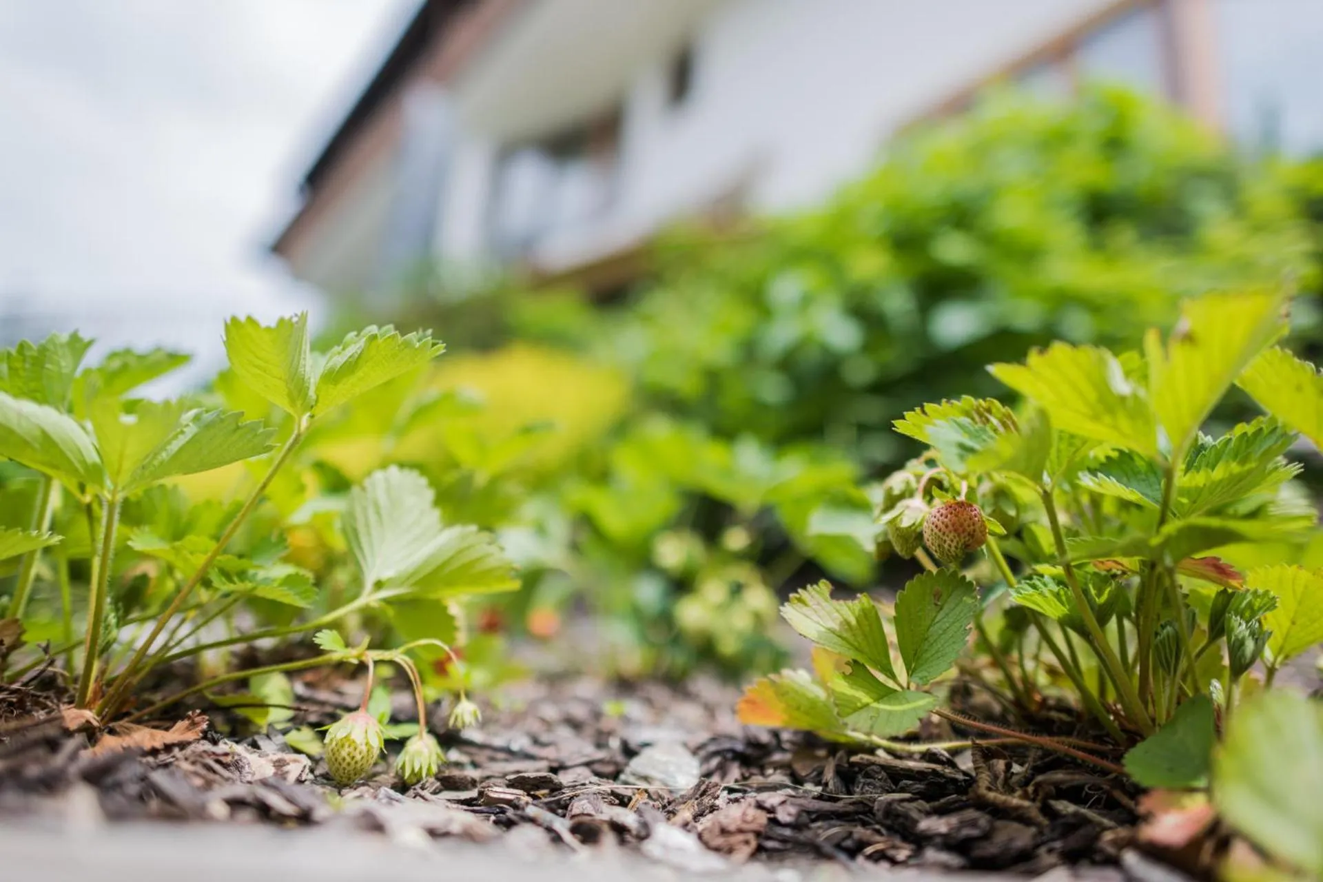 Other in PLAN DE CORONES apartments