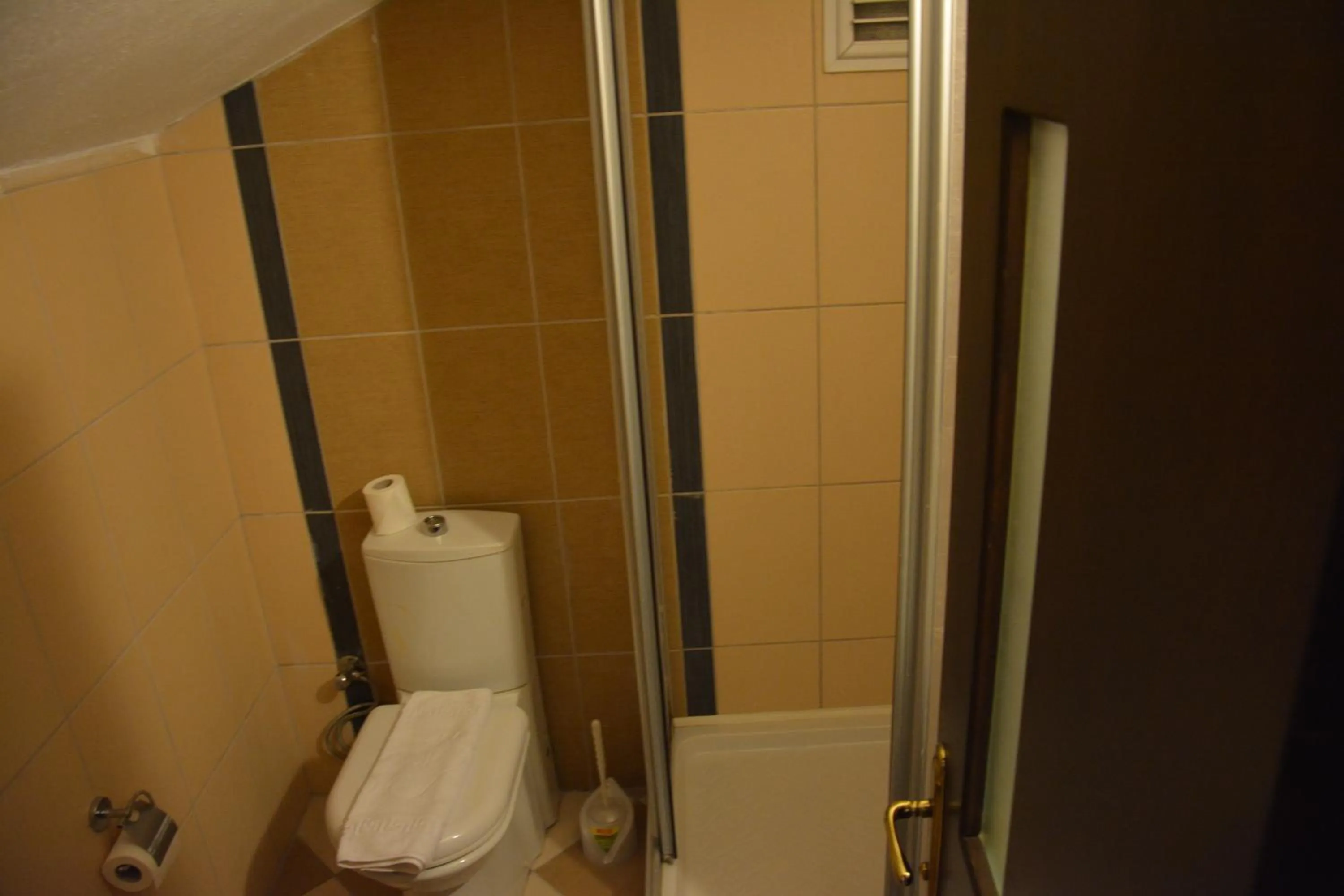 Toilet in Yavuzhan Hotel