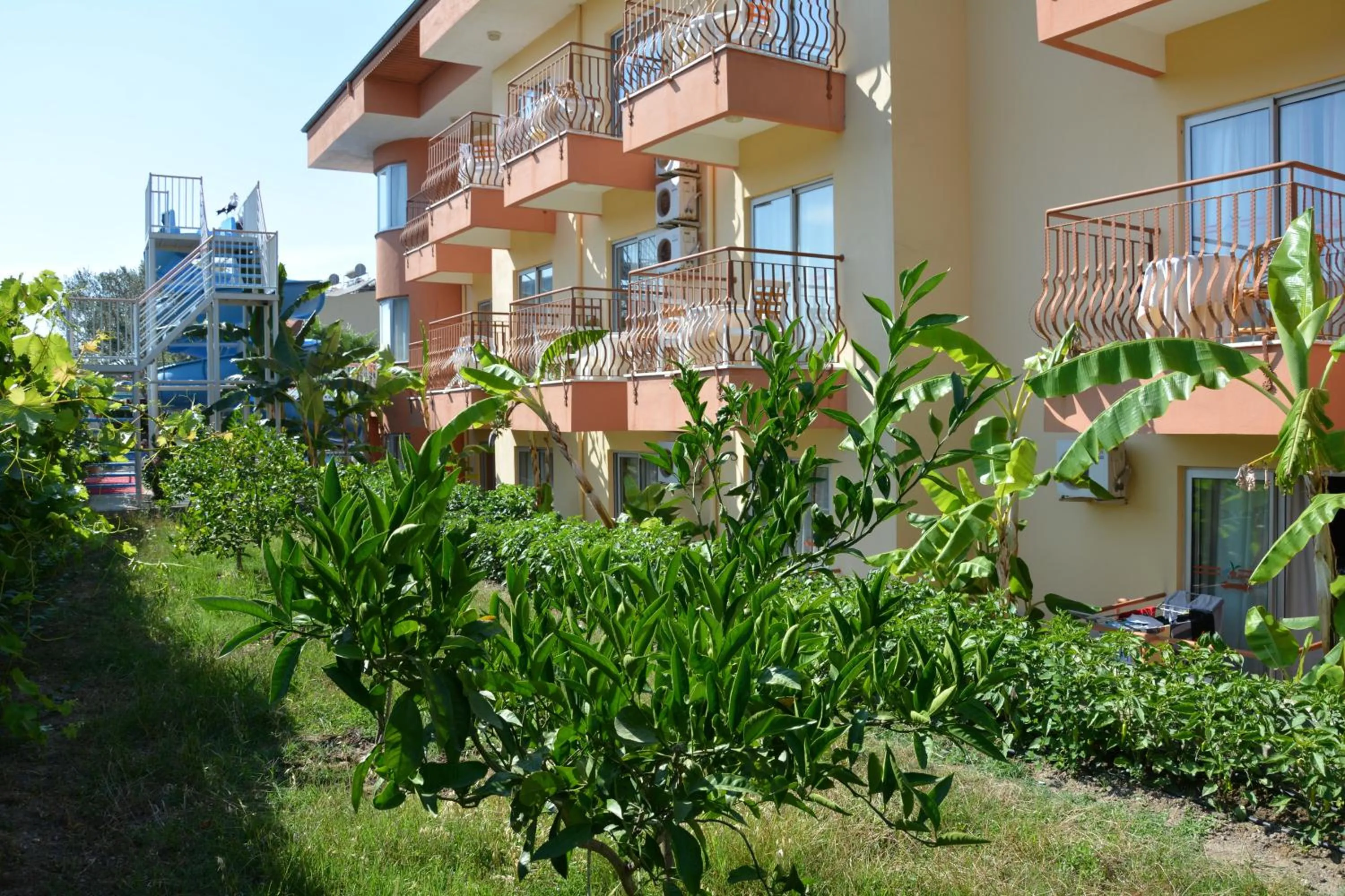 Garden in Yavuzhan Hotel