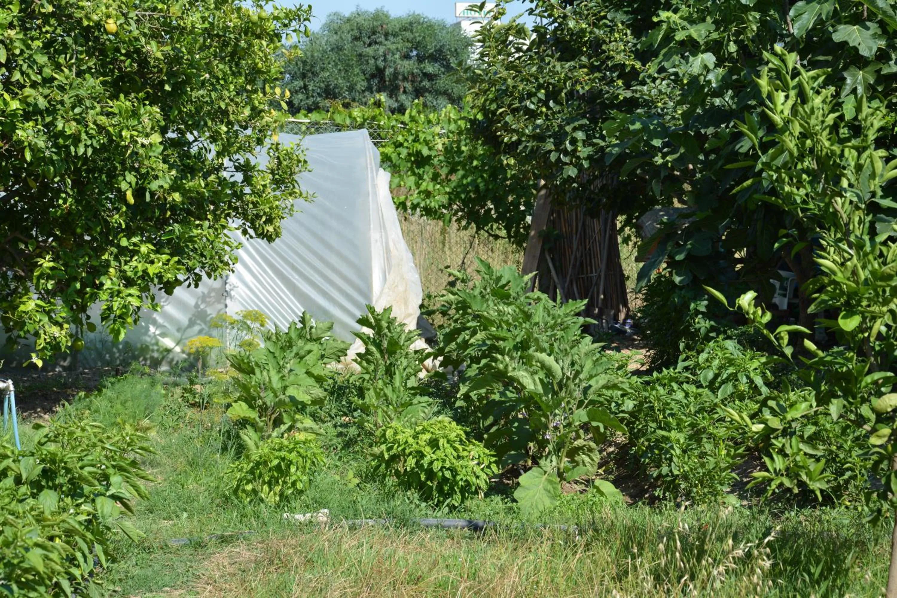 Garden in Yavuzhan Hotel