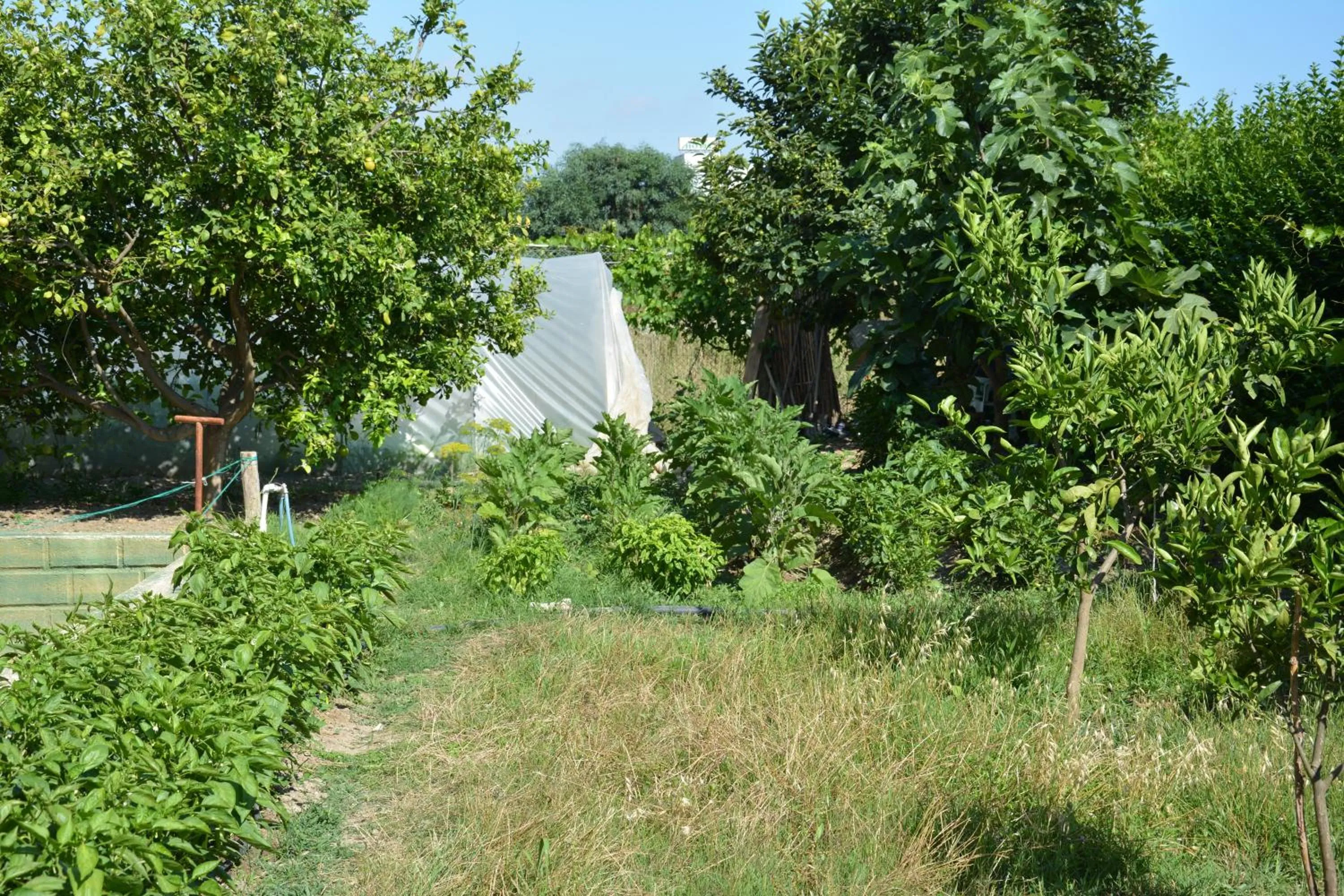 Garden in Yavuzhan Hotel