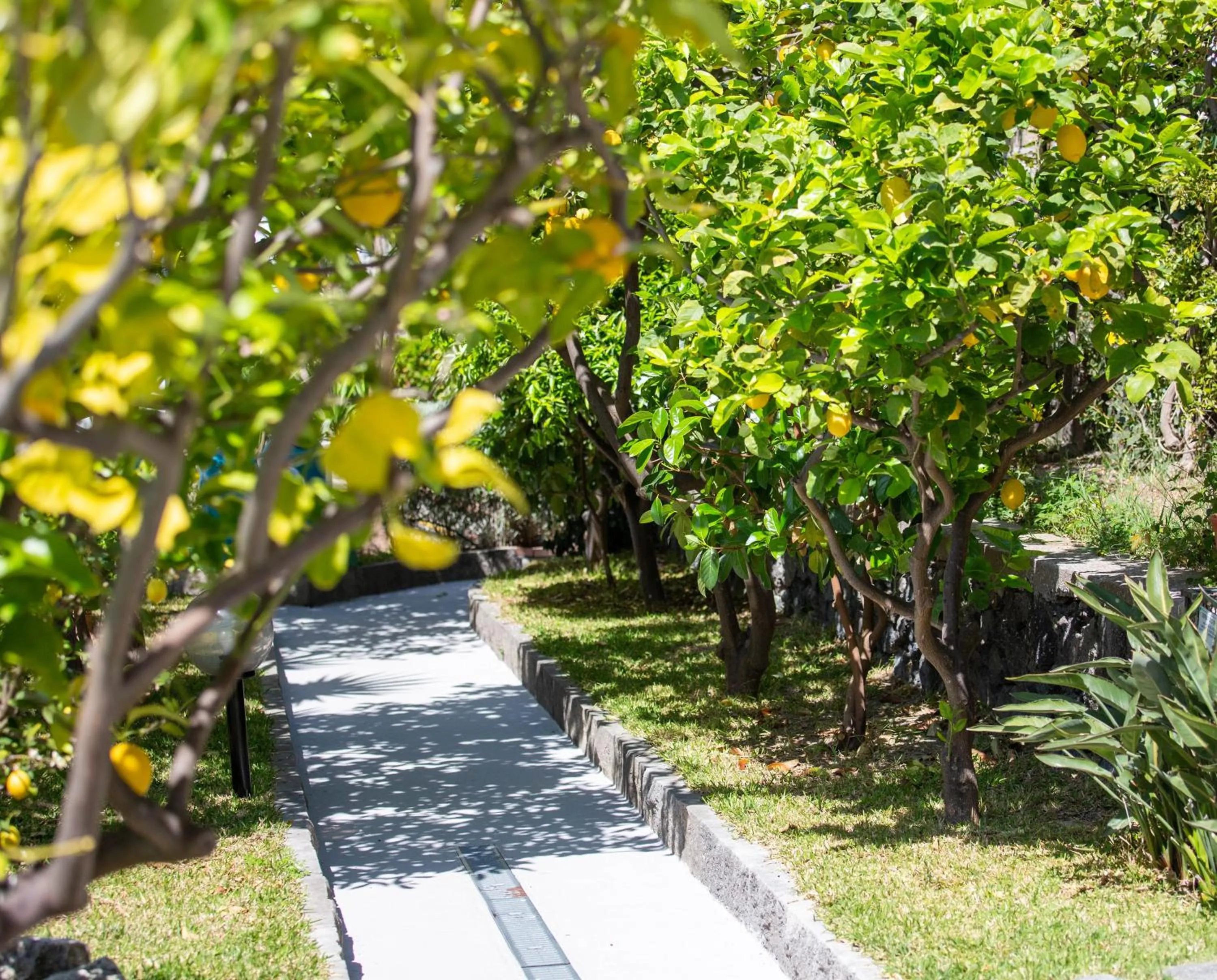 Spring in Hotel La Mandorla