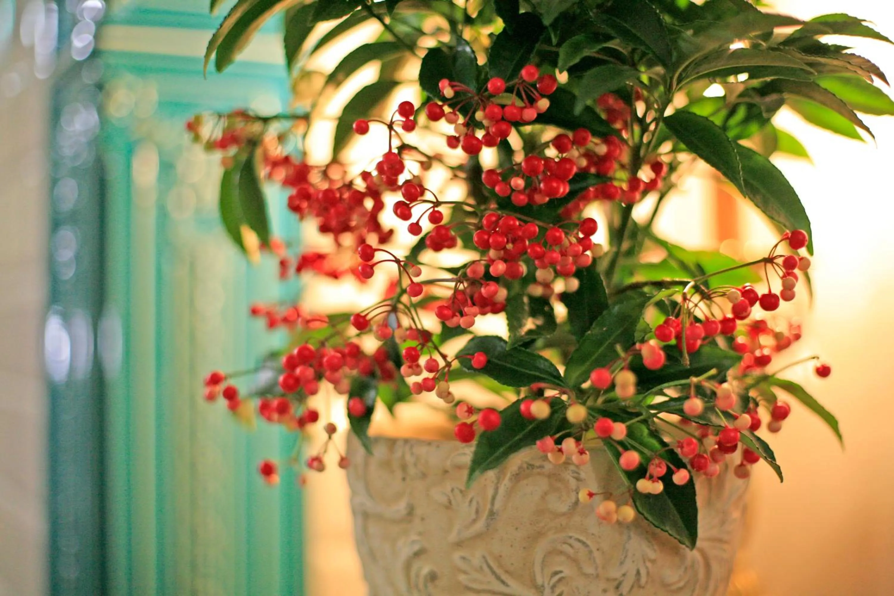 Natural landscape in Kamienica Boutique ApartHotel