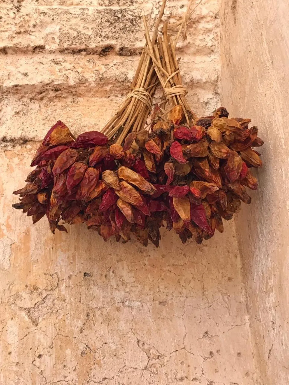 Natural landscape in La Fragna