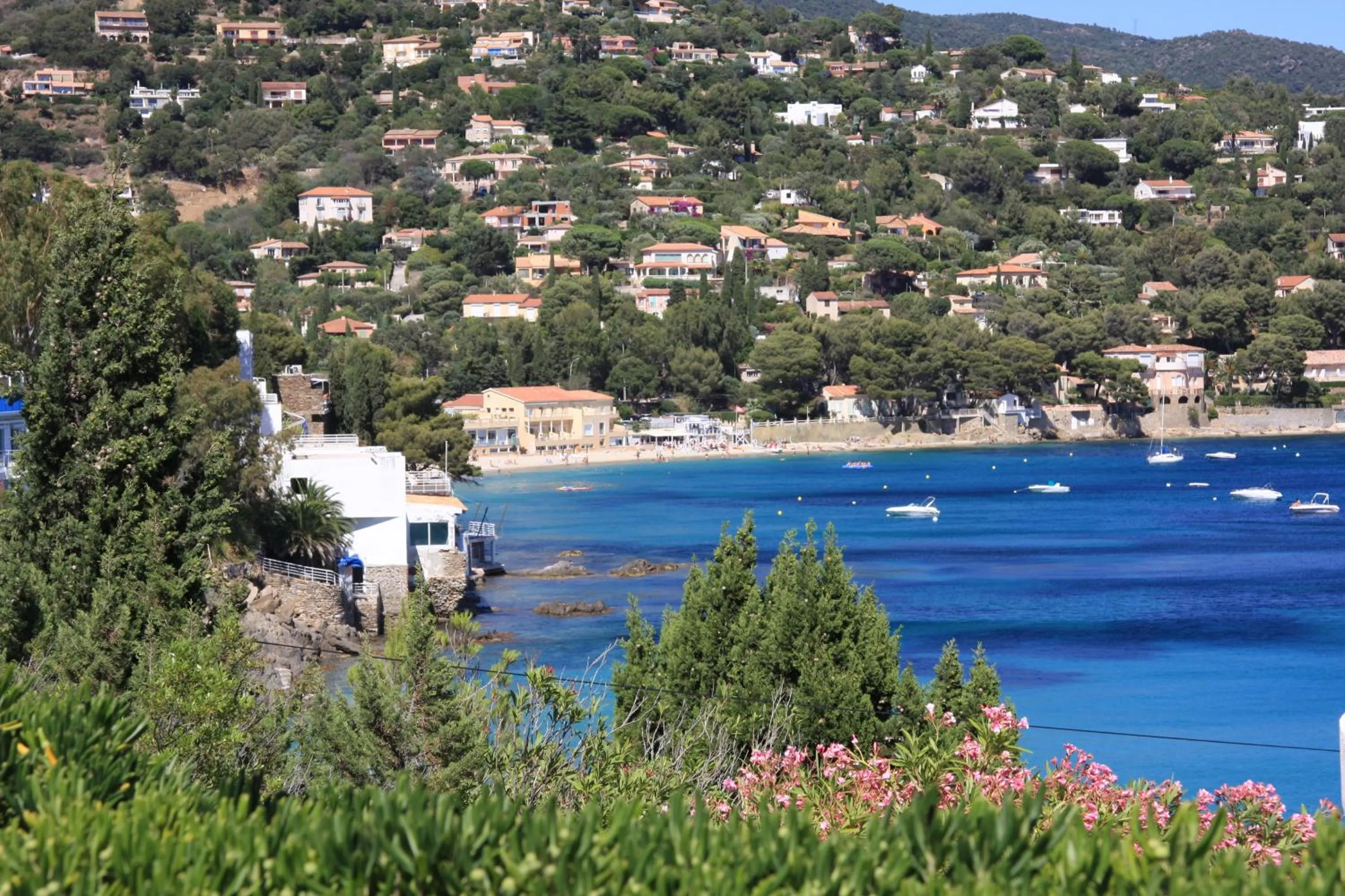 Natural landscape in Les Alcyons