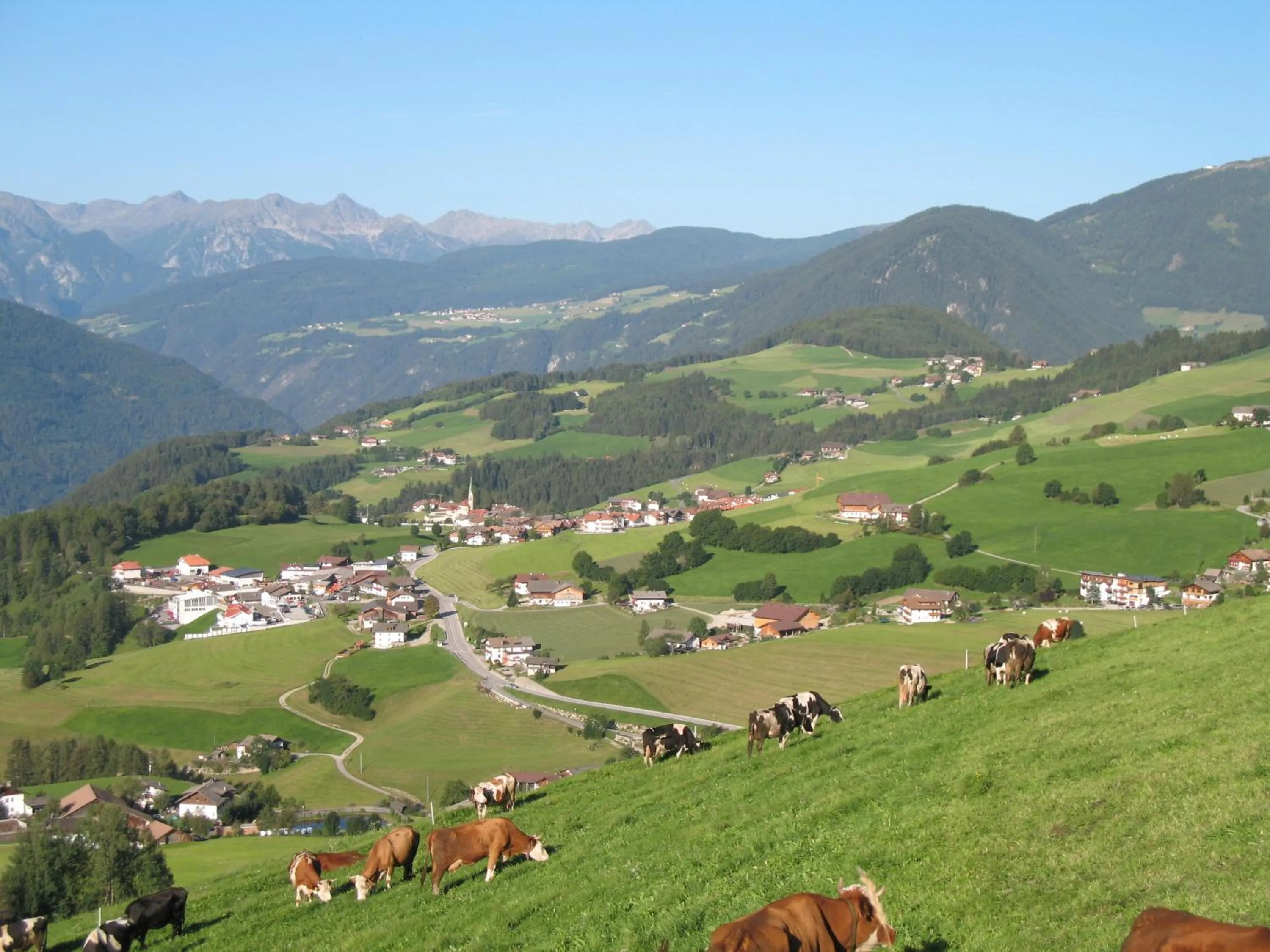 Summer in Residence Terentis