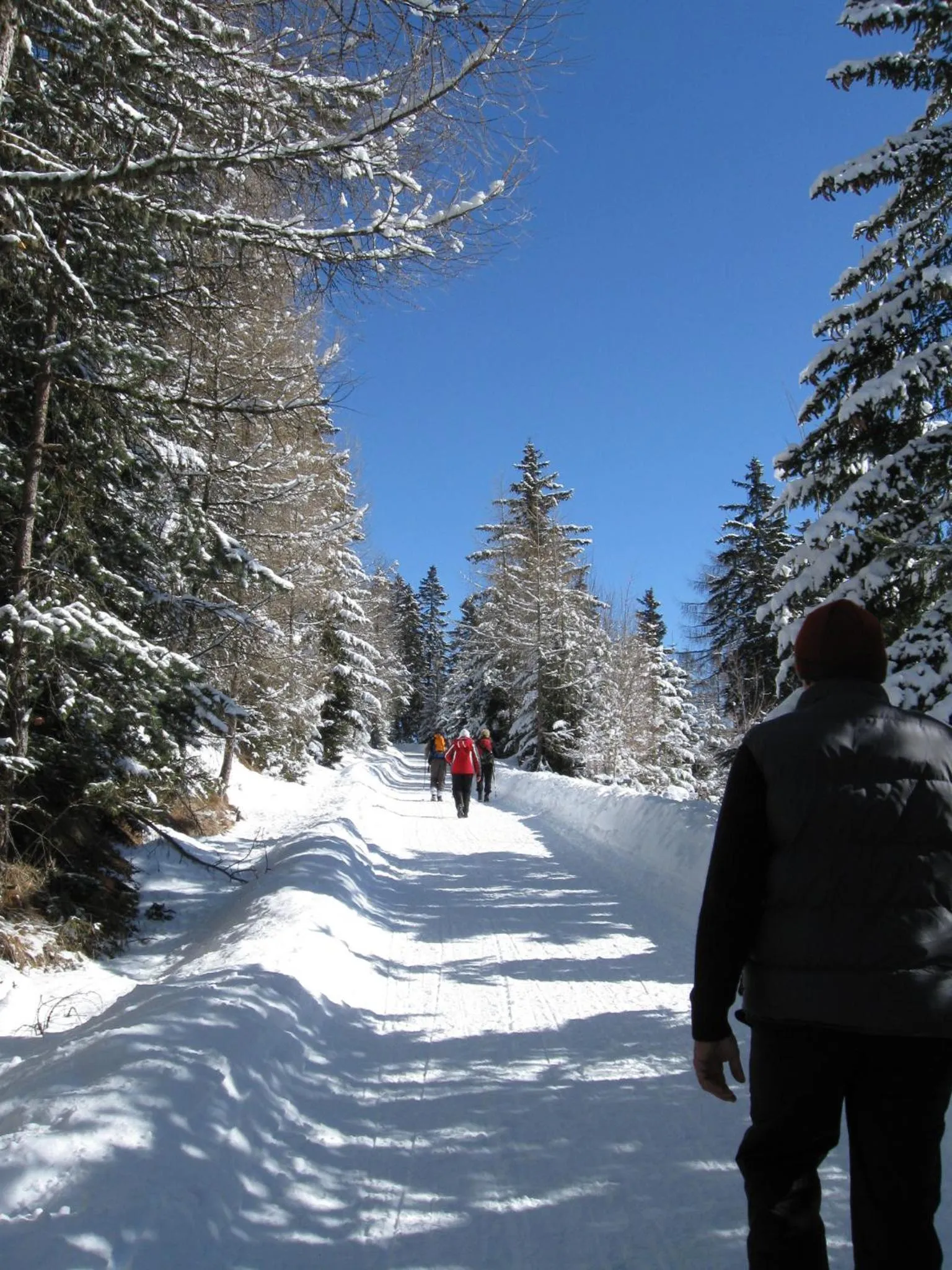 Winter in Residence Terentis