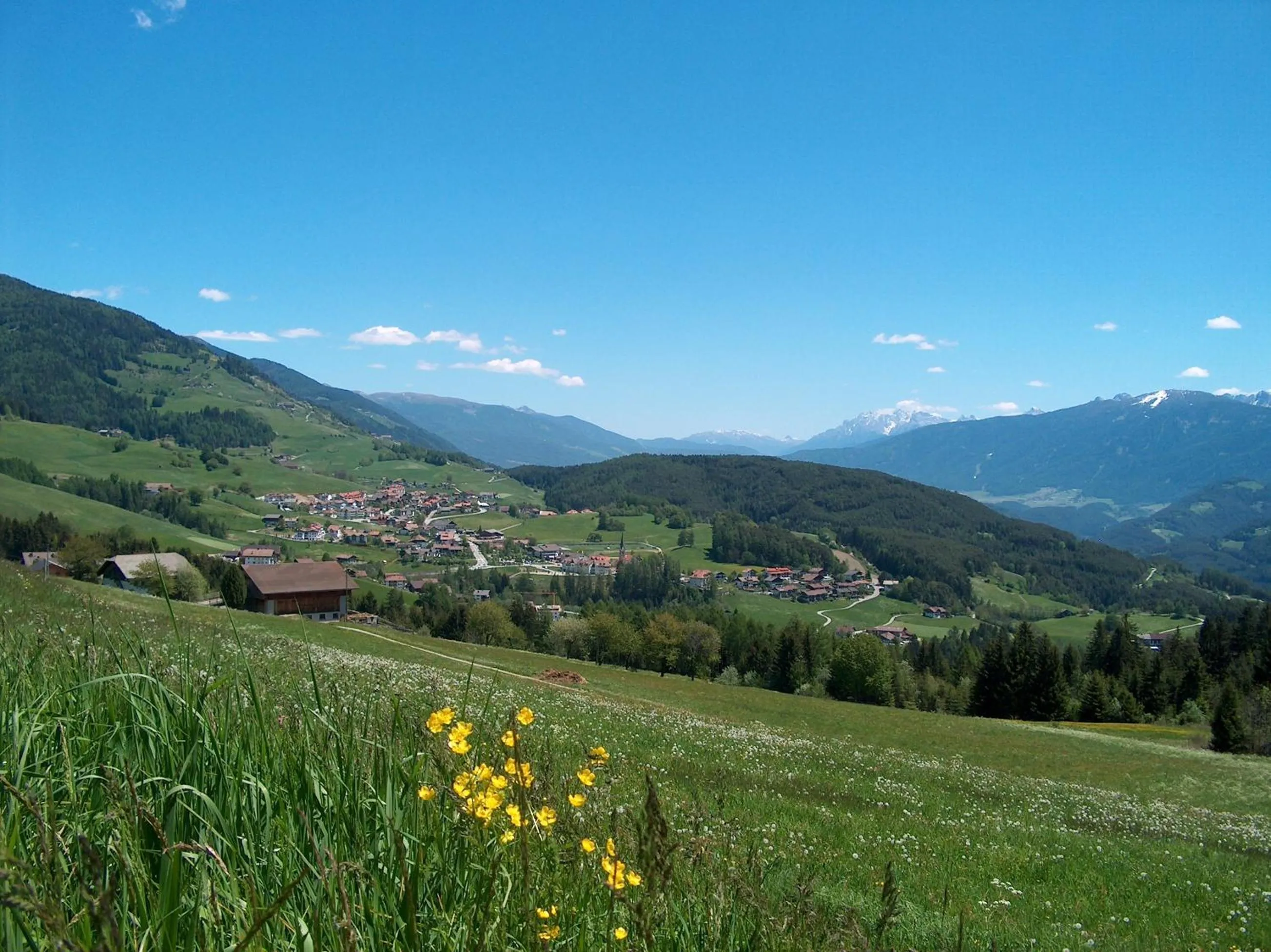 Area and facilities in Residence Terentis