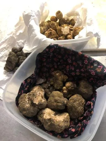 Restaurant/places to eat in Hotel Ciocca