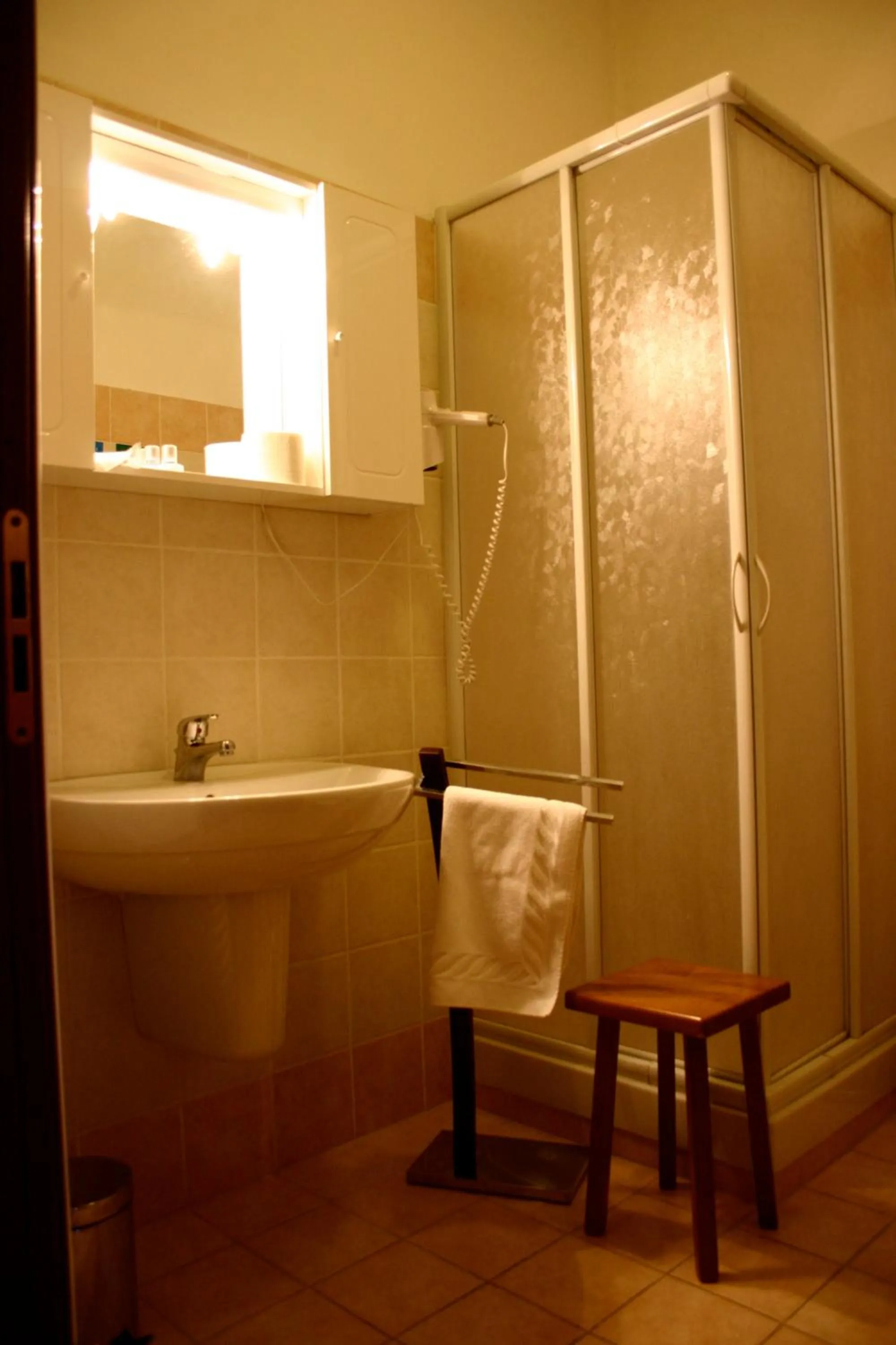 Shower in Hotel Ciocca