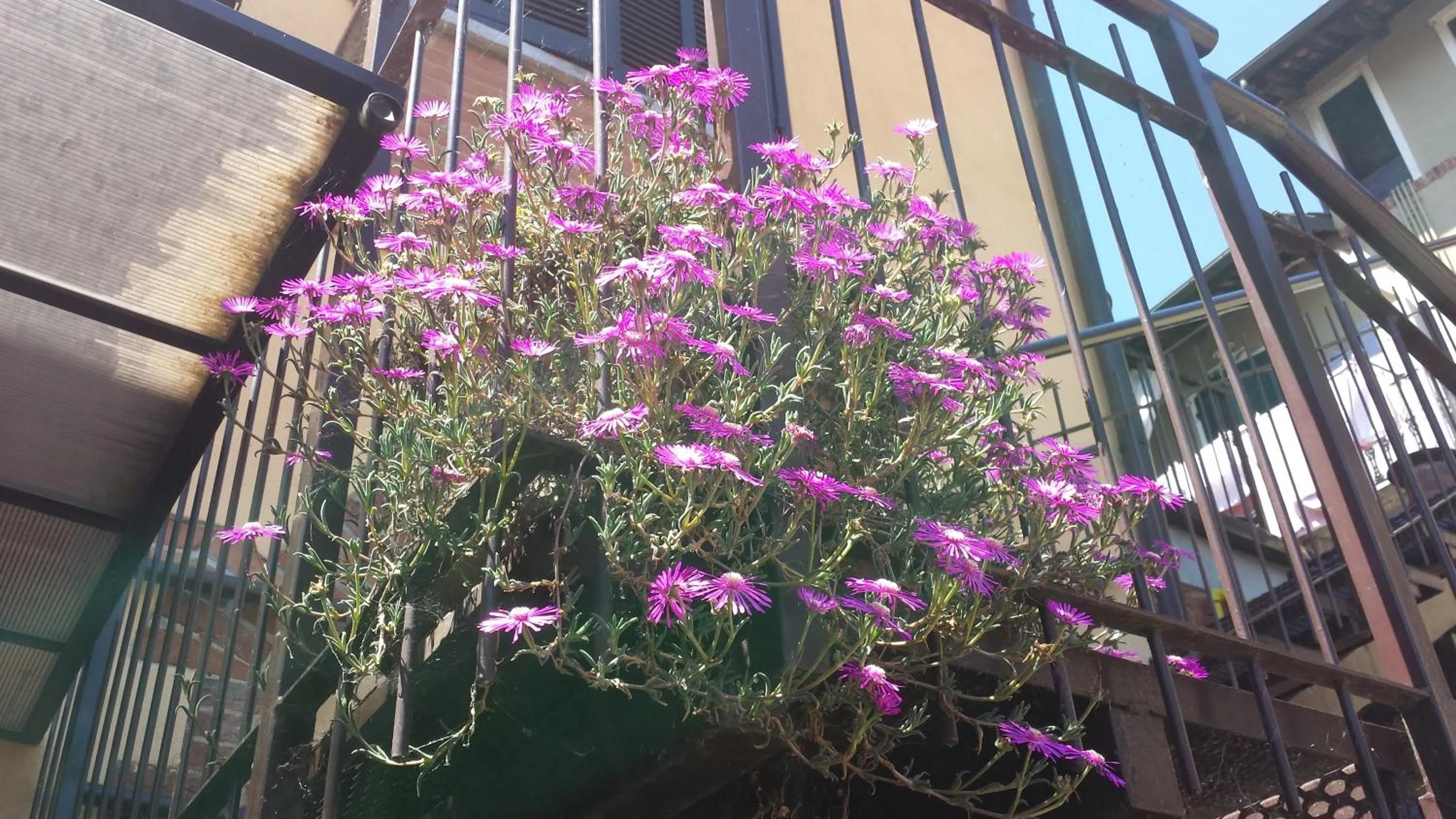 Decorative detail in Hotel Ciocca