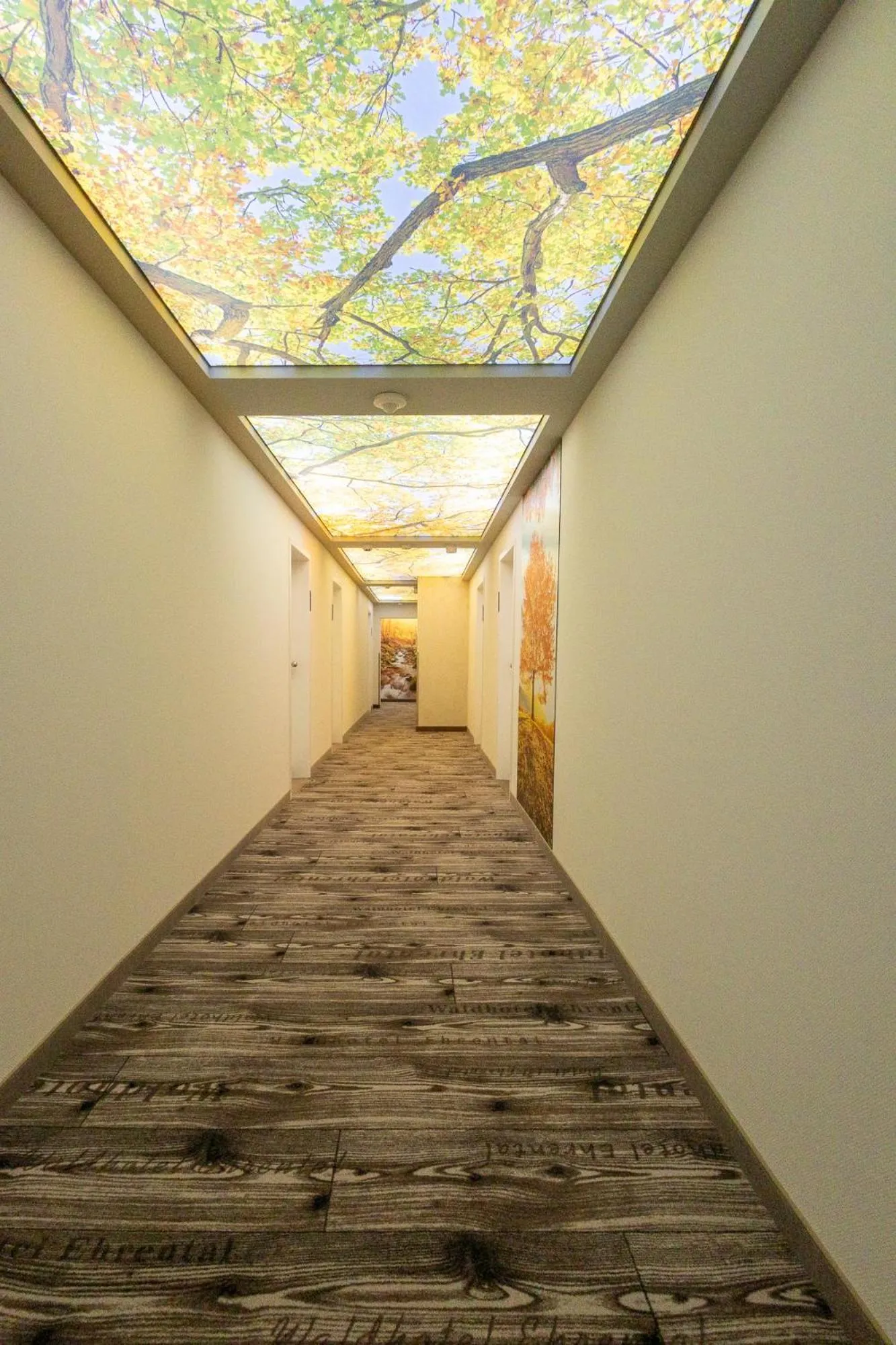 Decorative detail in Waldhotel Ehrental