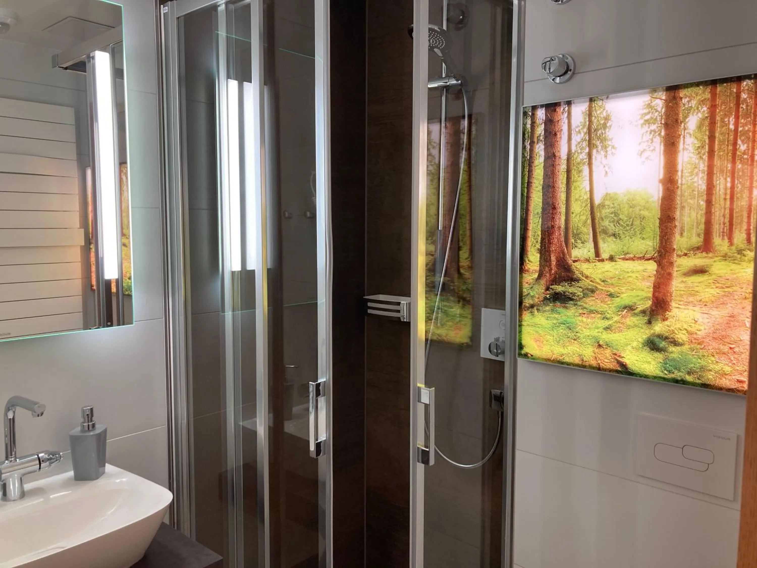 Shower in Waldhotel Ehrental