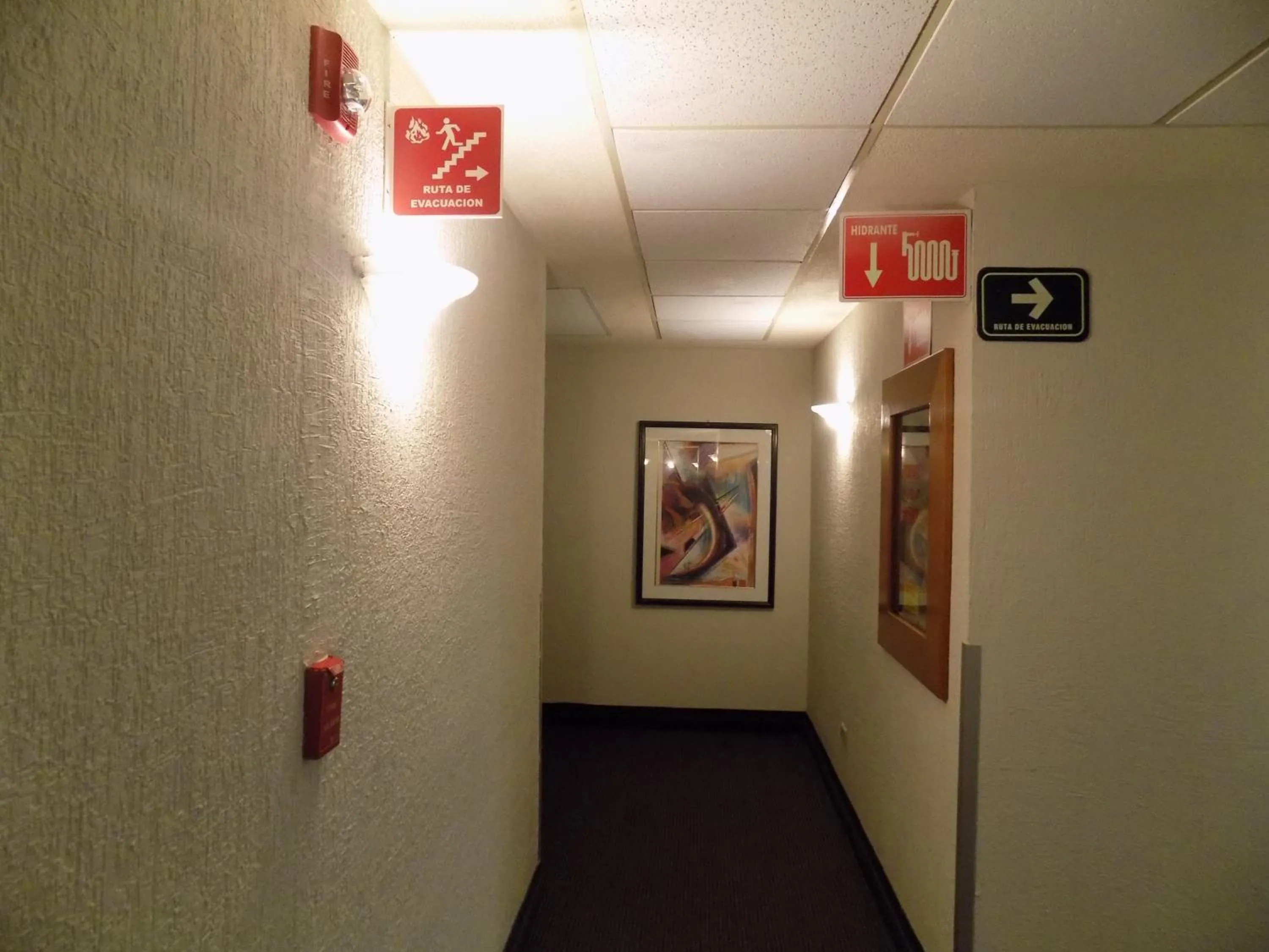 Decorative detail in Hotel San Marcos Express