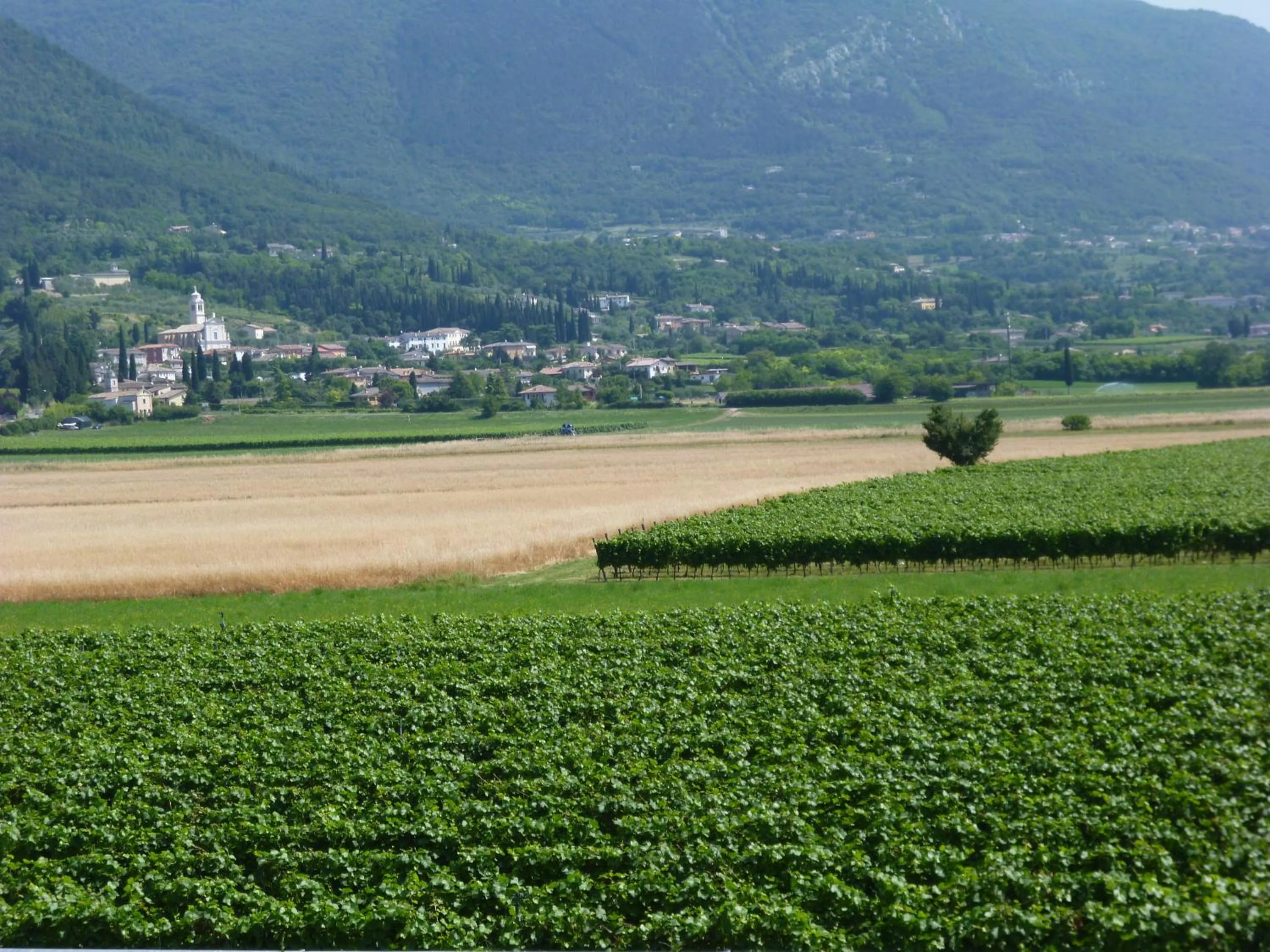 Mountain view in Albergo Villa Eva