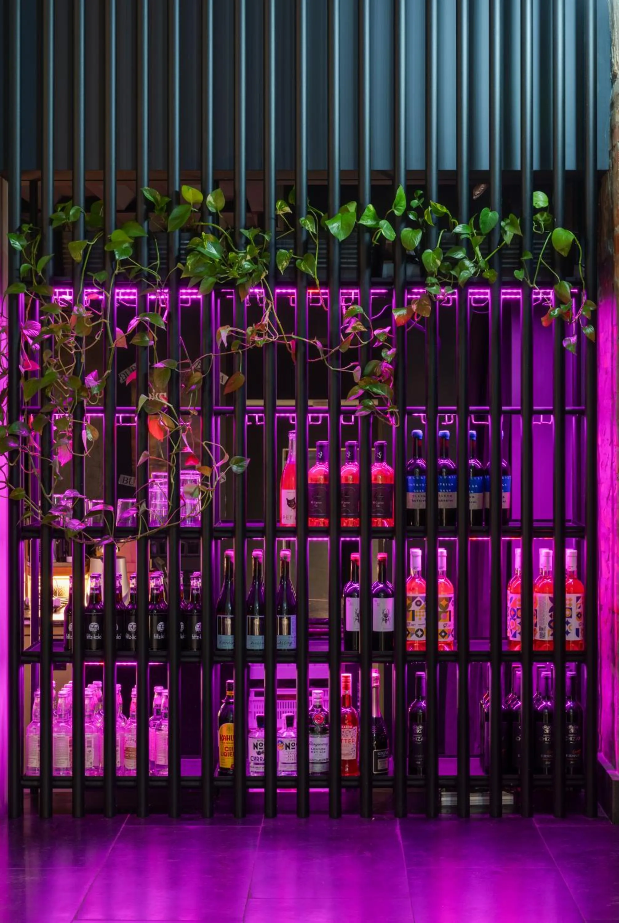 Food and drinks in BURSA Hotel Kyiv