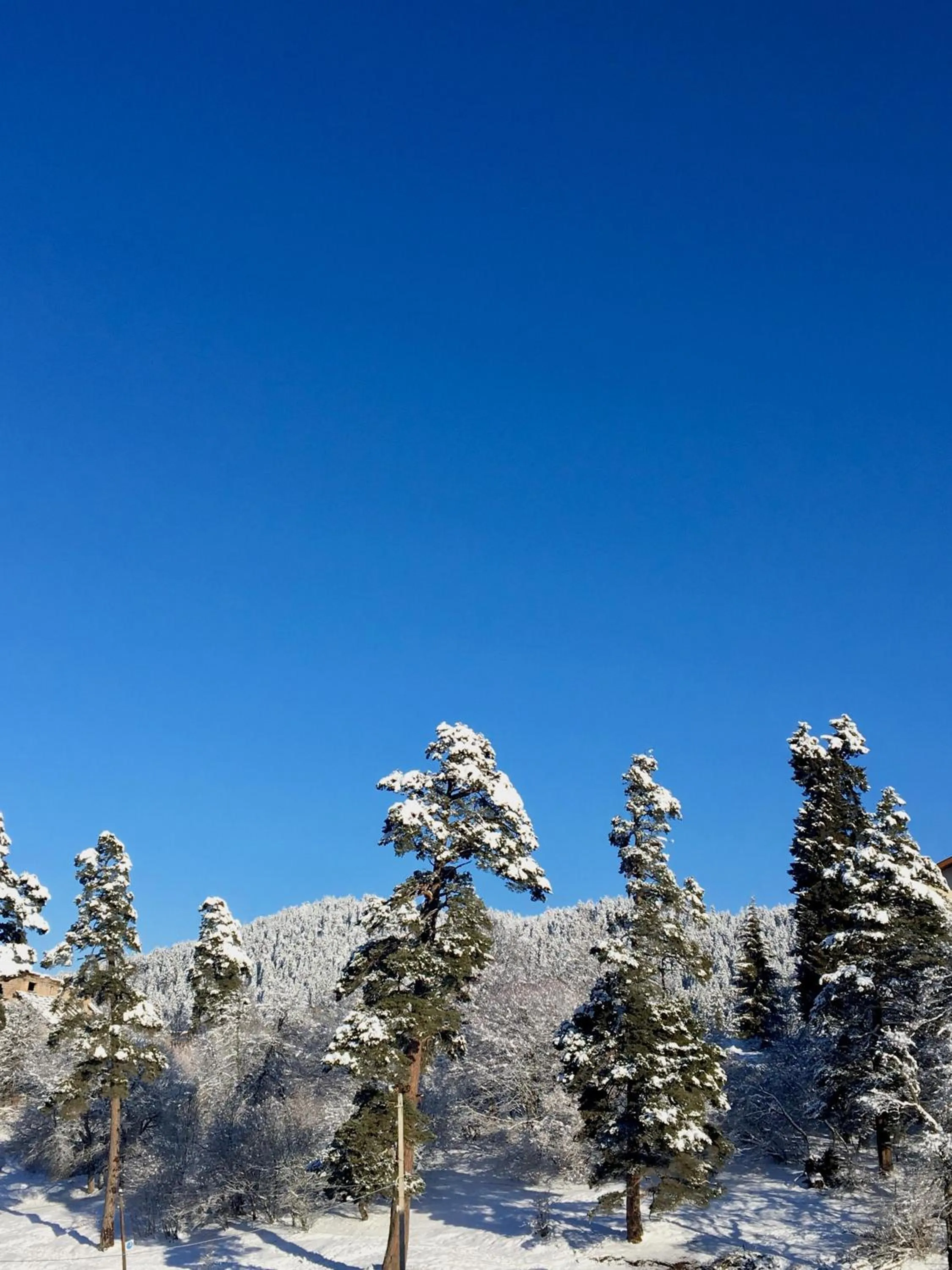 Apartment in Bakuriani